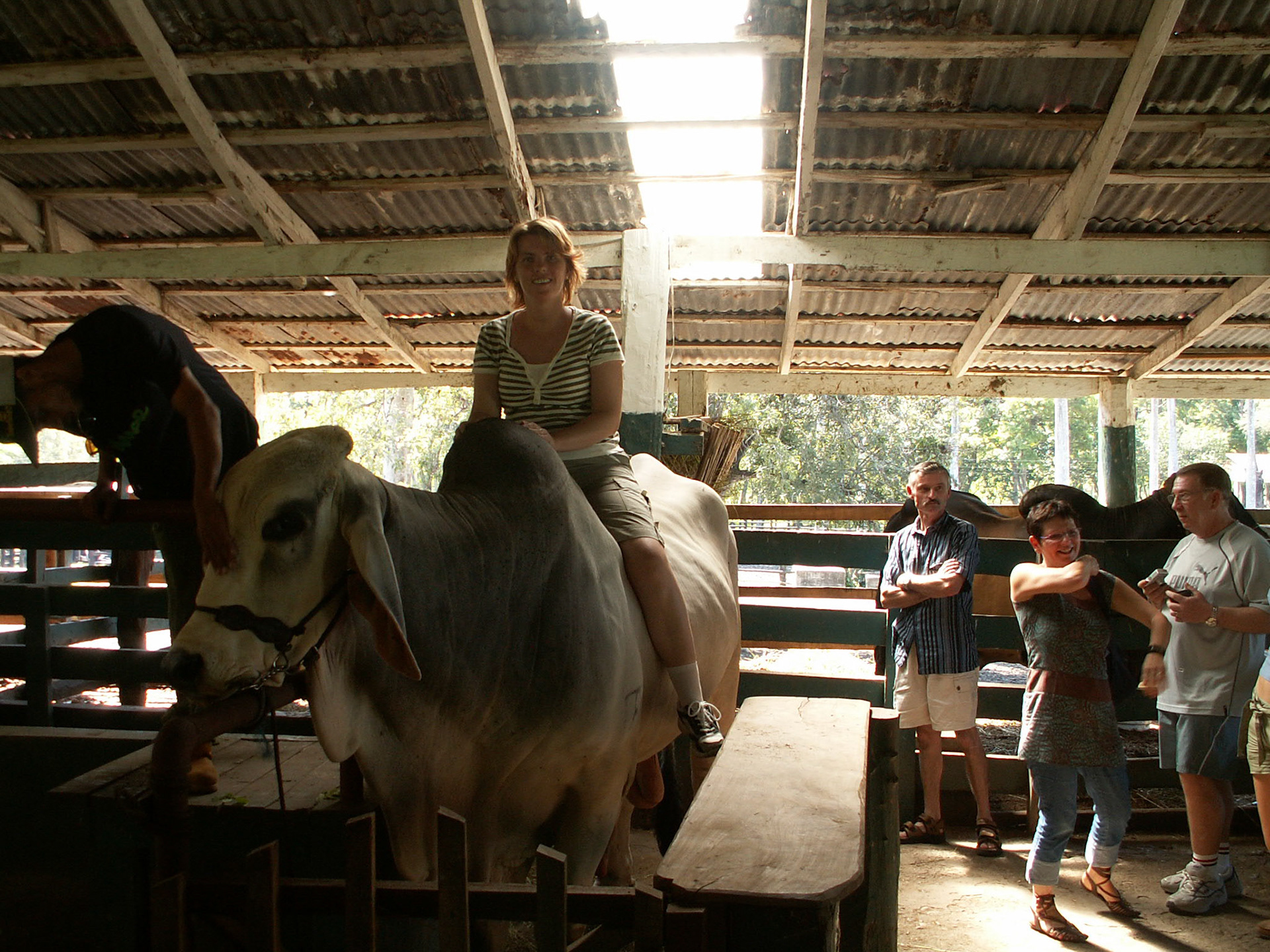 KONICA MINOLTA DIGITAL CAMERA