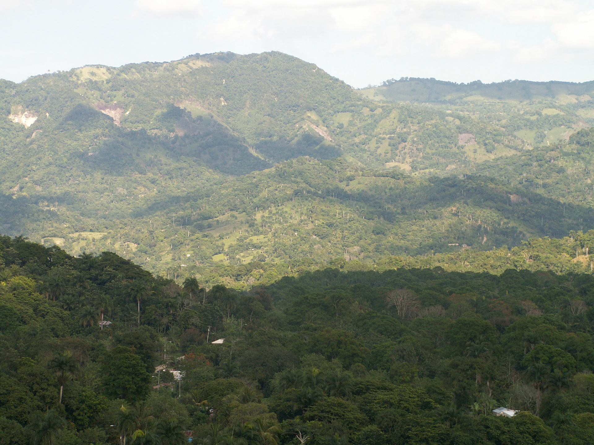 KONICA MINOLTA DIGITAL CAMERA