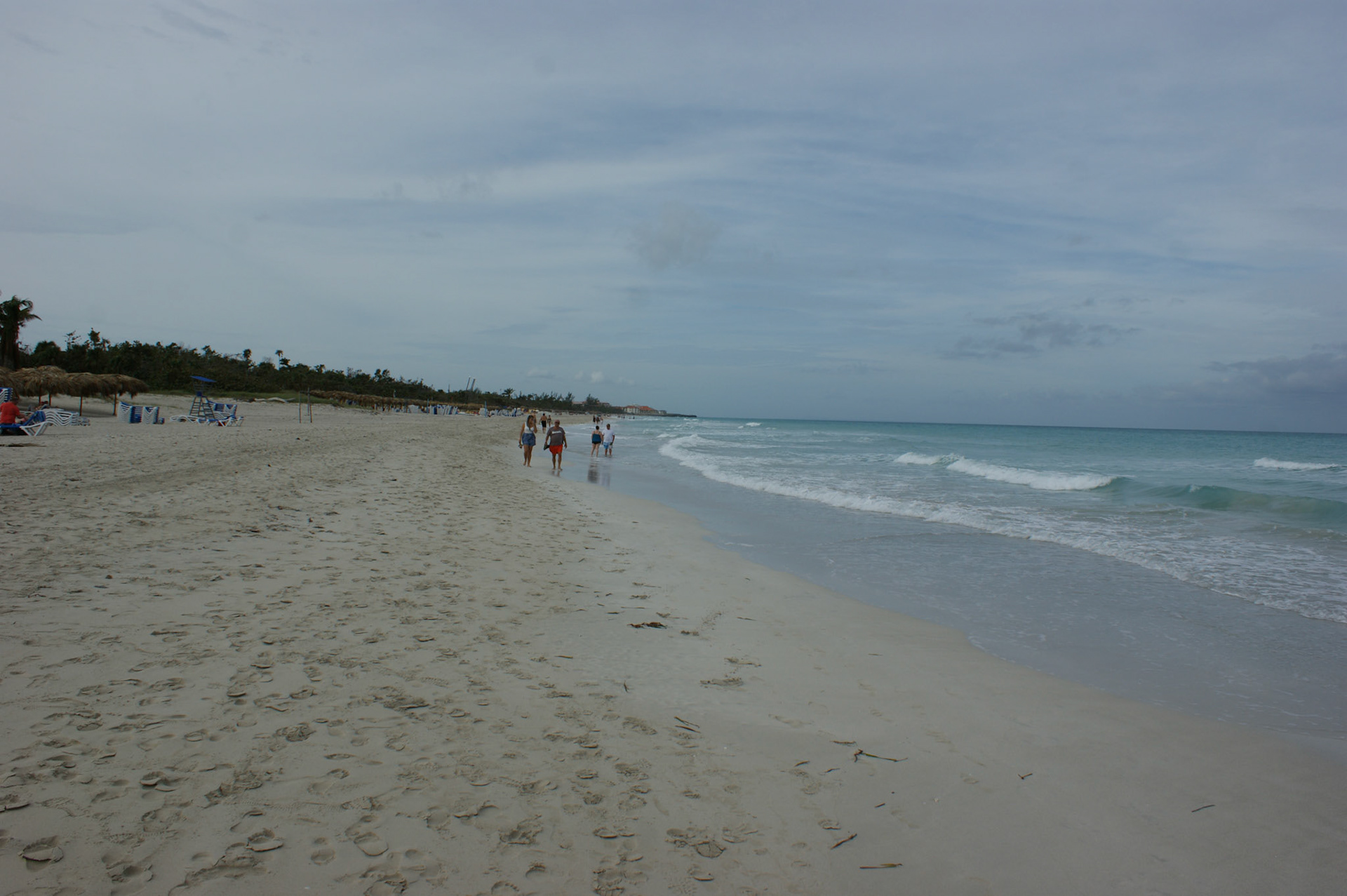 SONY DSC