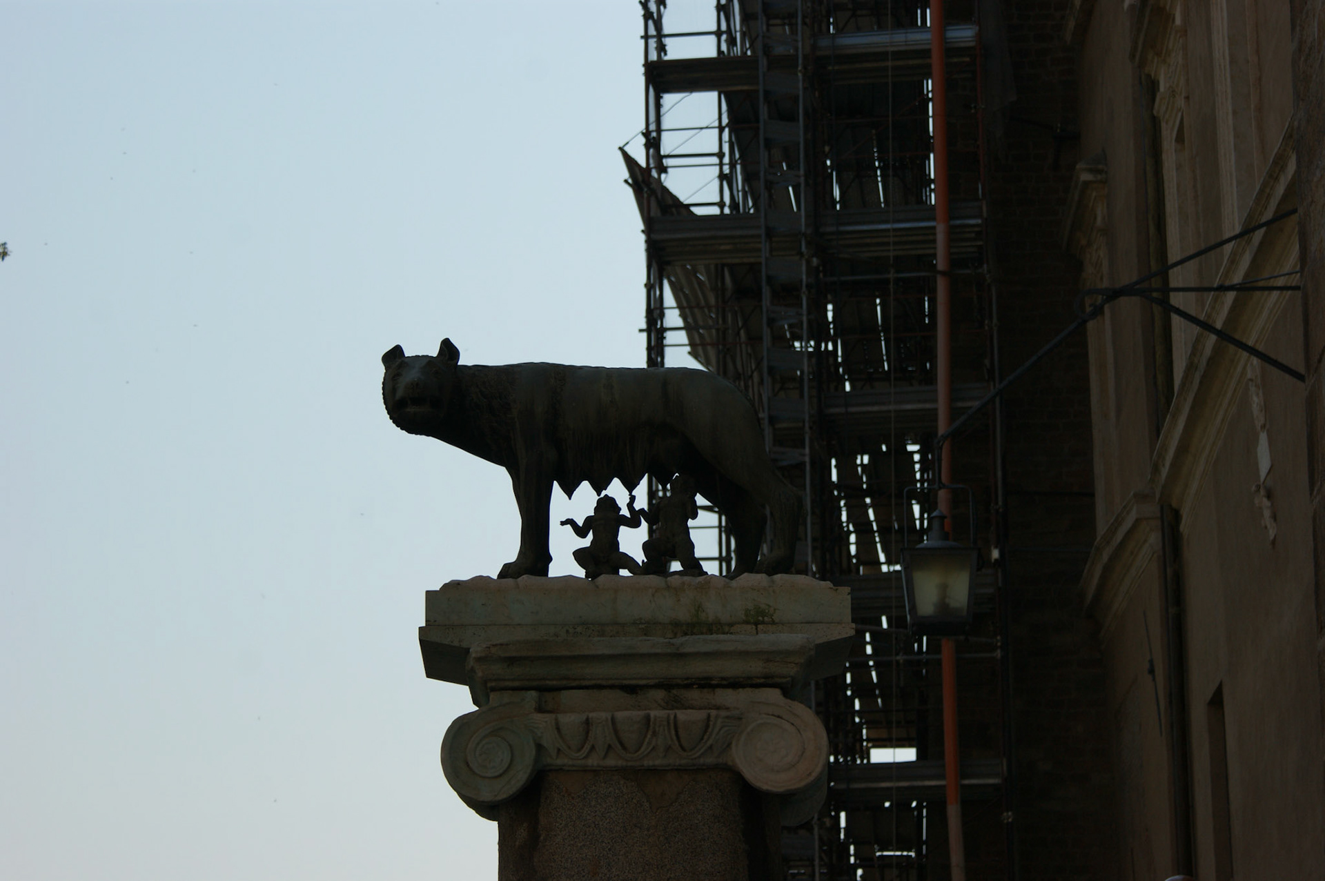 SONY DSC