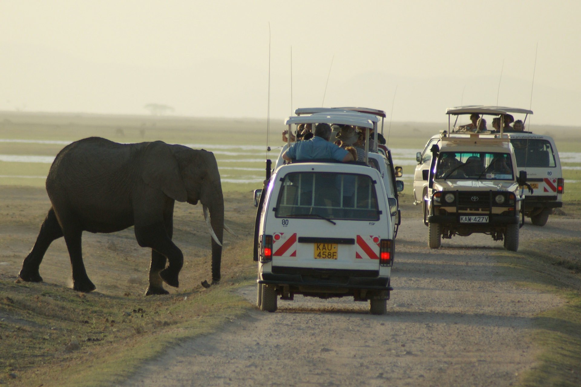 24.9.2009 KEŇA - NP Amboseli