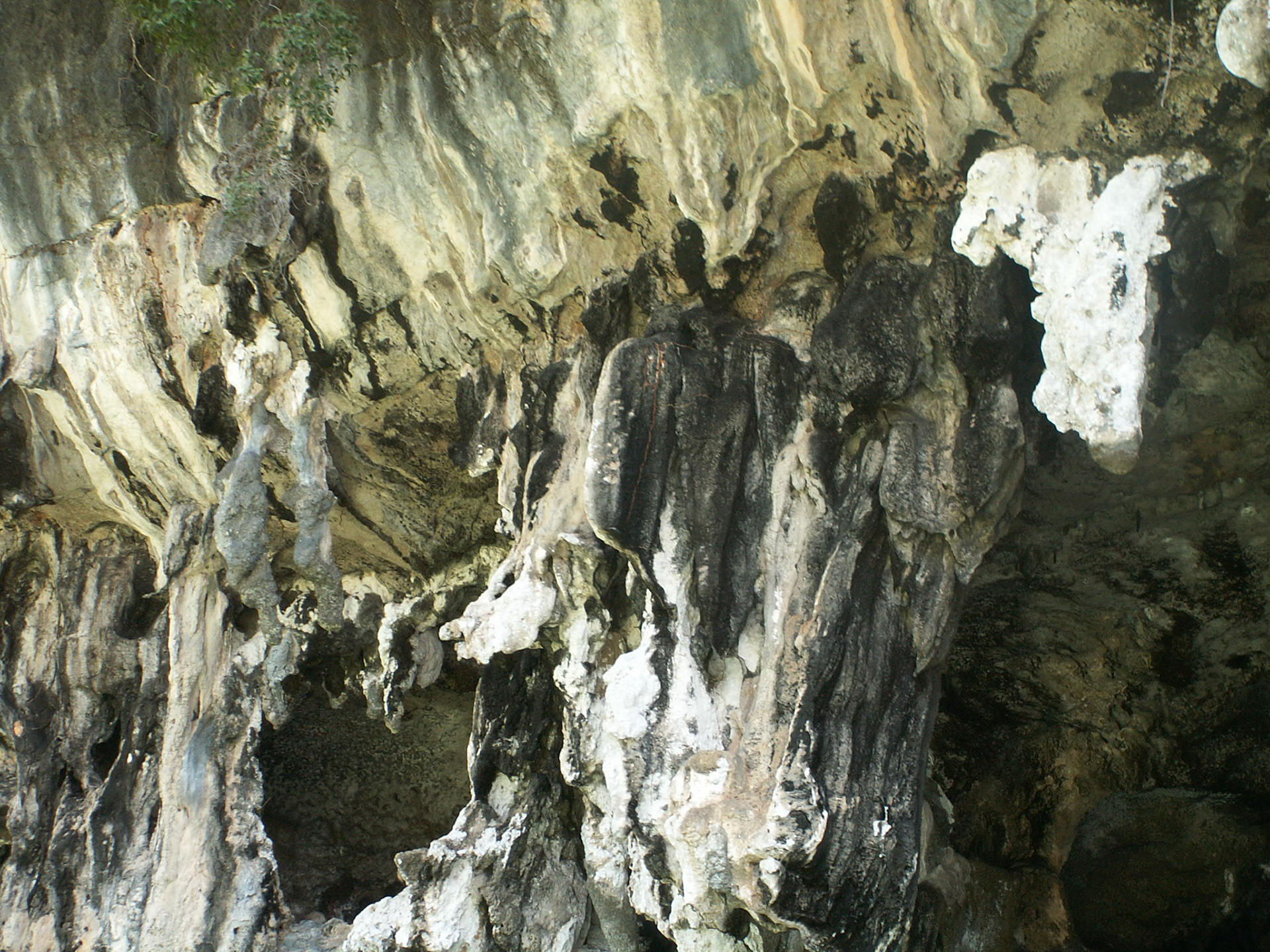 KONICA MINOLTA DIGITAL CAMERA