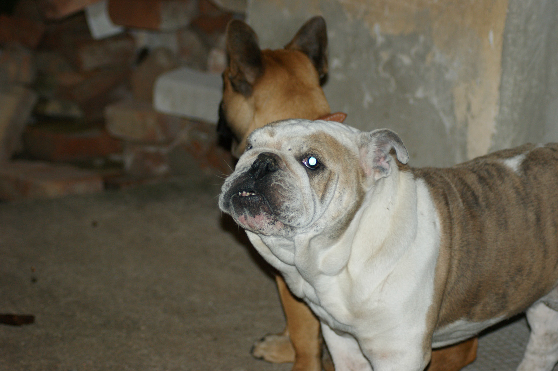 SONY DSC