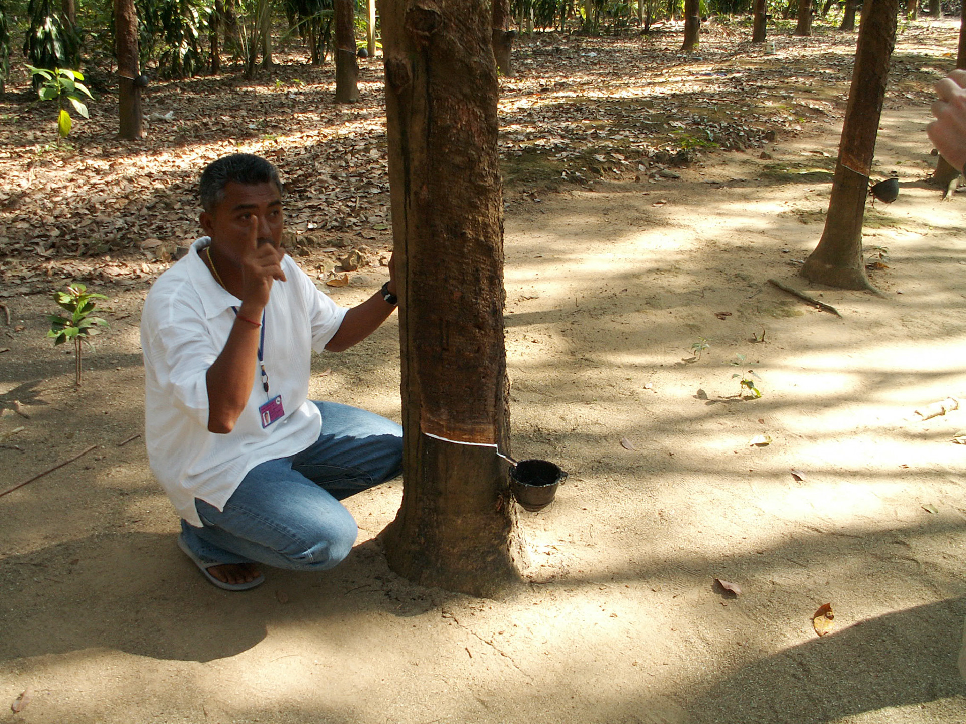 KONICA MINOLTA DIGITAL CAMERA