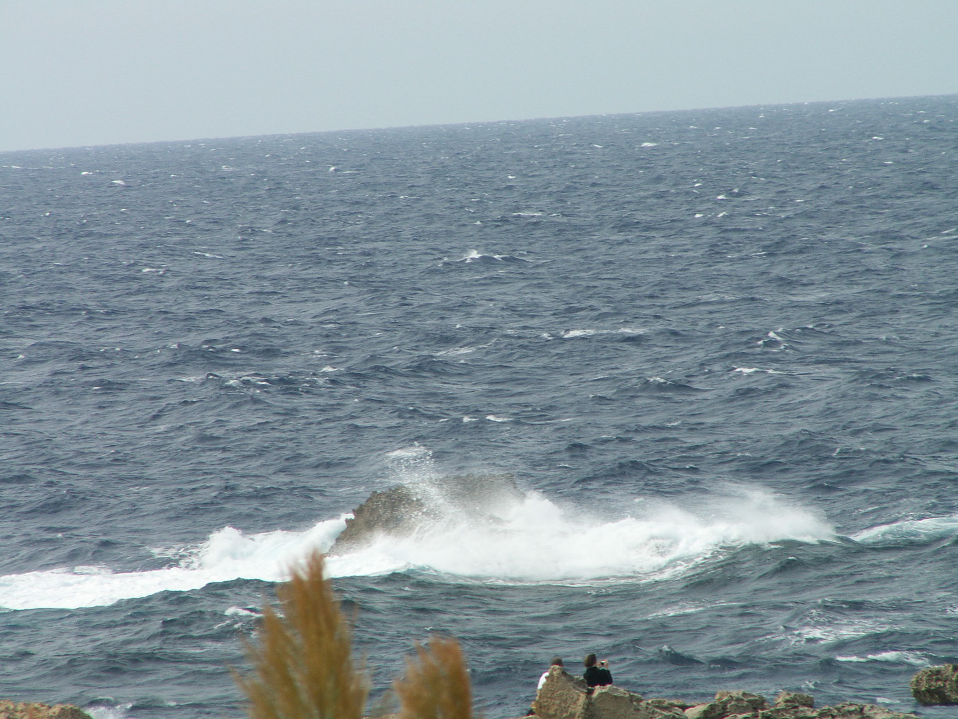 KONICA MINOLTA DIGITAL CAMERA