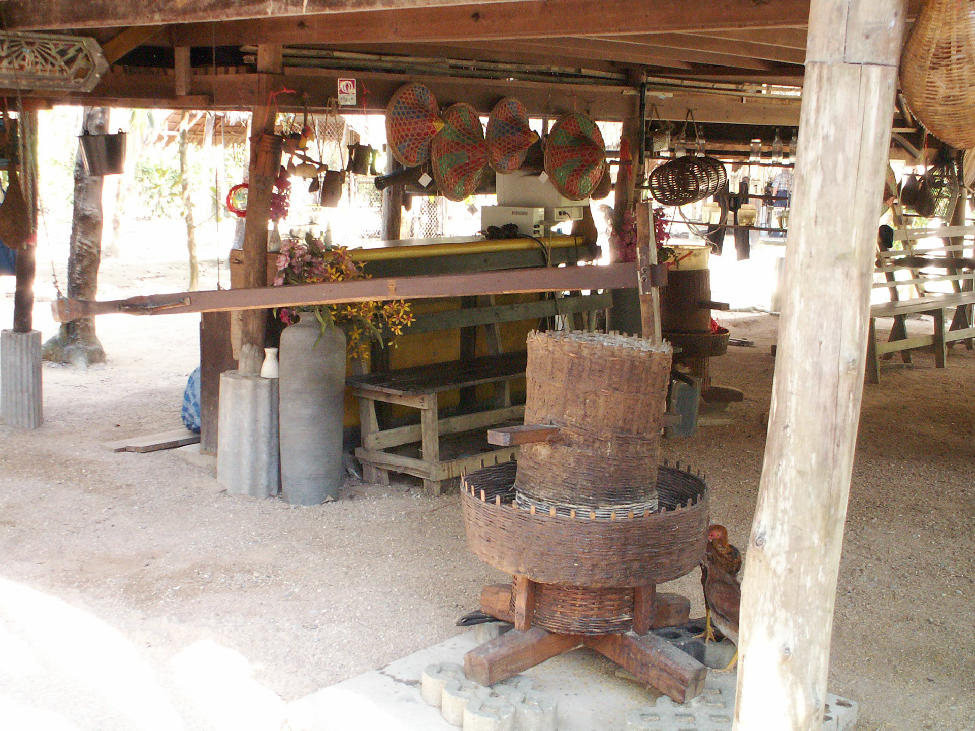 KONICA MINOLTA DIGITAL CAMERA