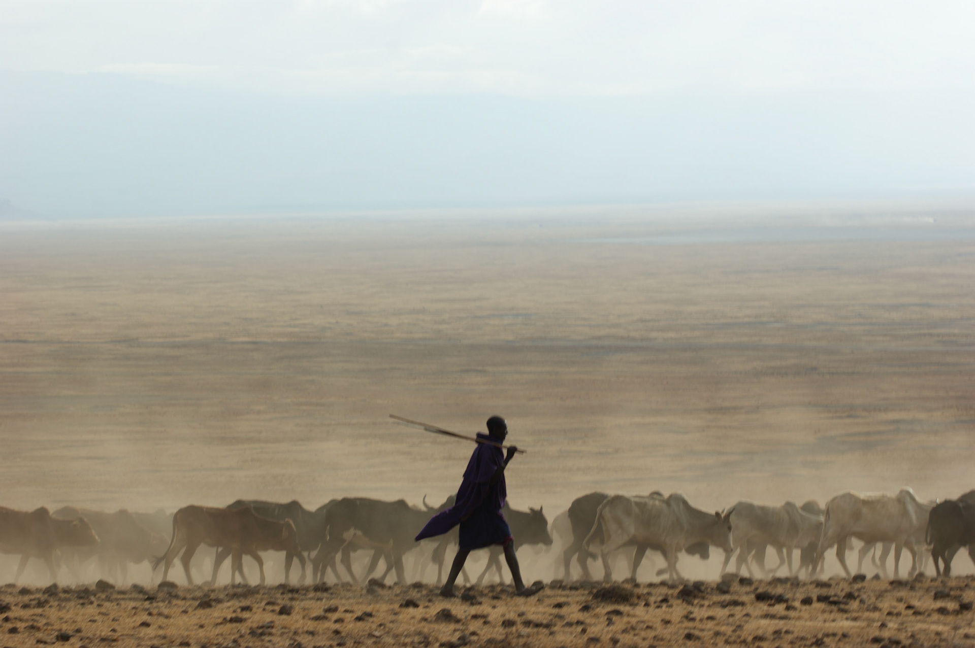 3.10.2009 TANZANIE - Ngorongoro NP