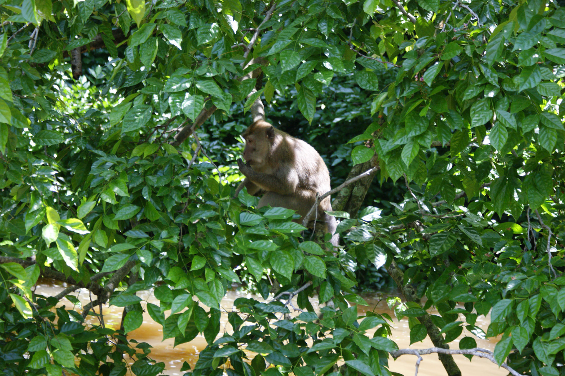 SONY DSC