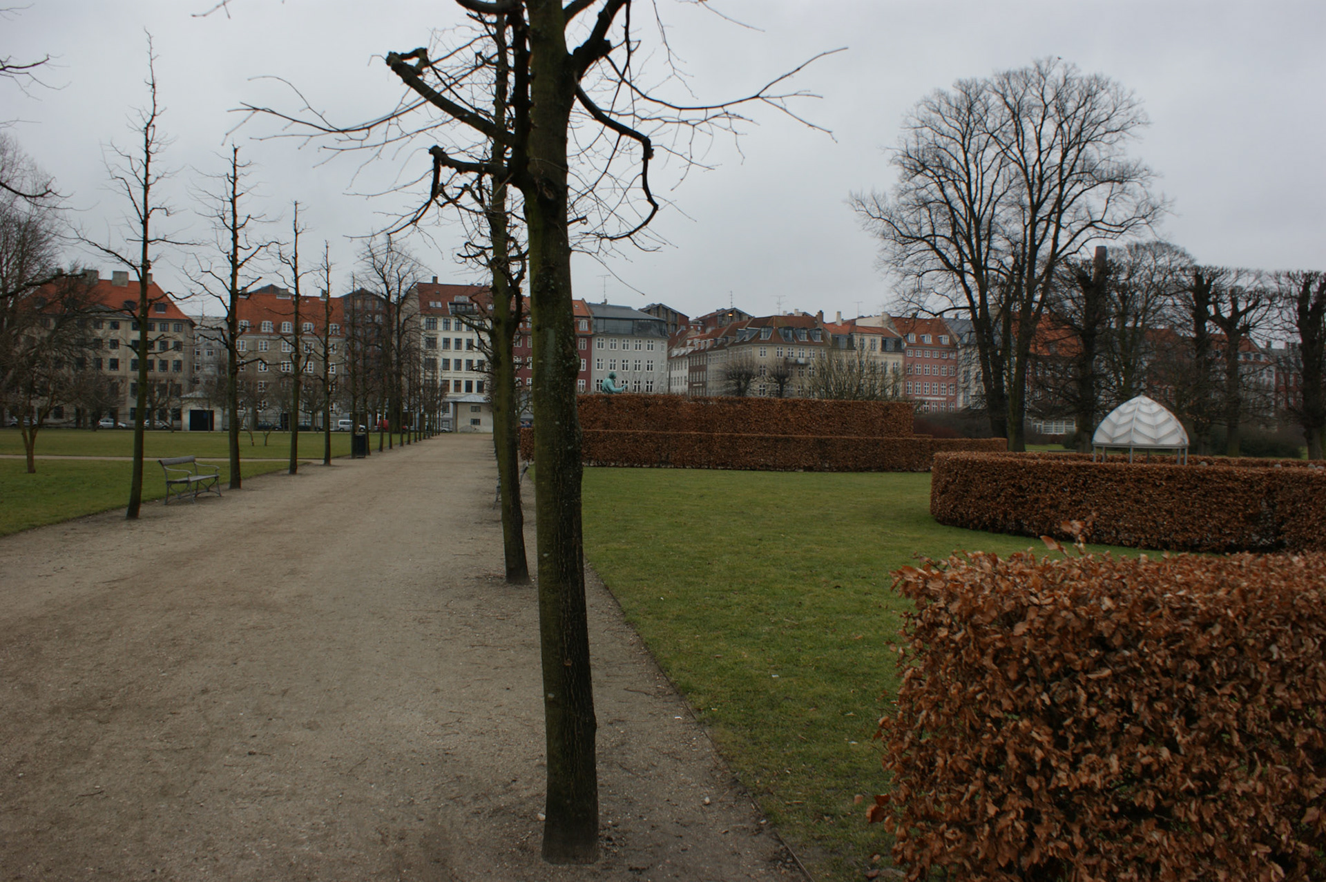 SONY DSC