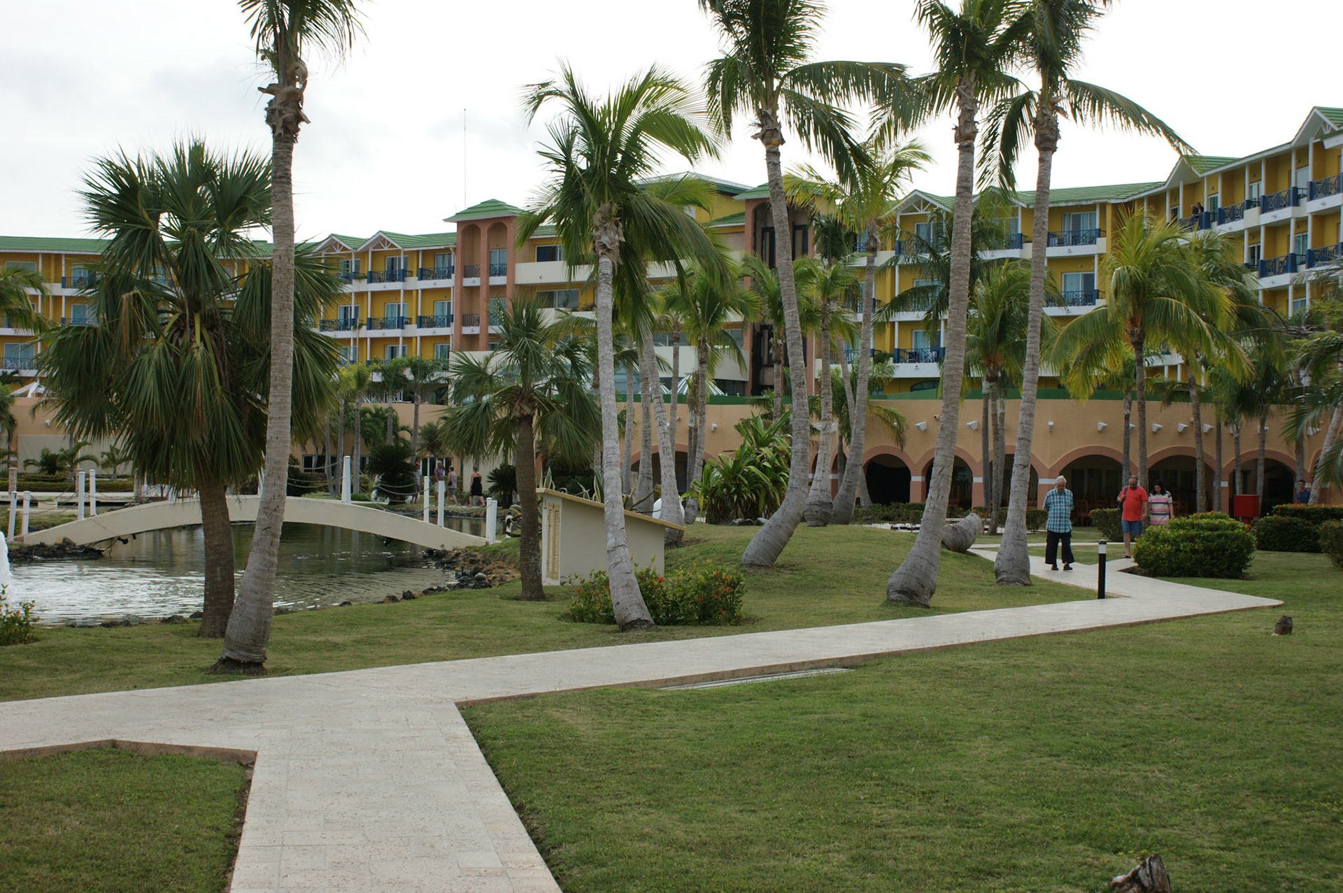 SONY DSC