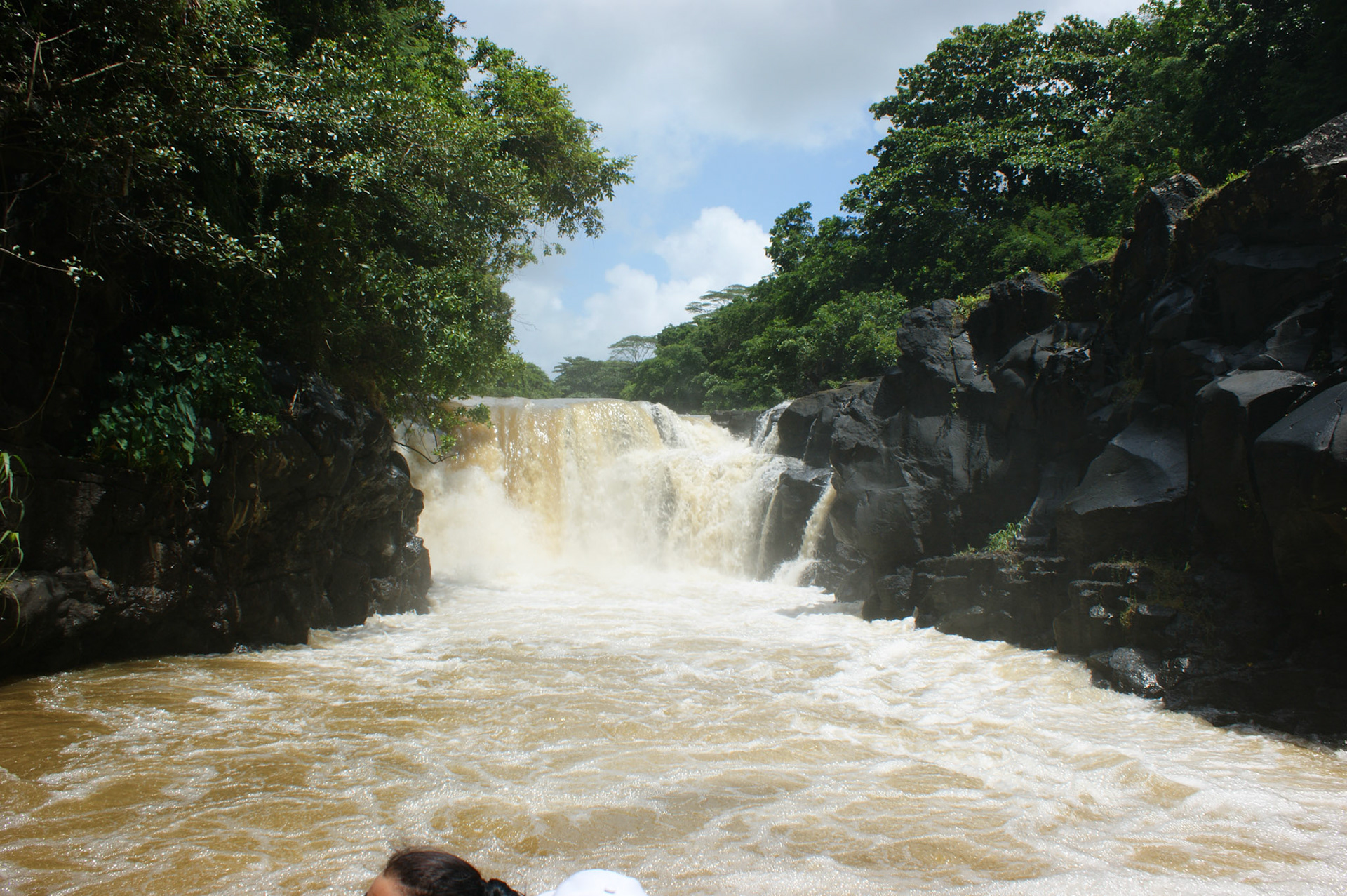 SONY DSC