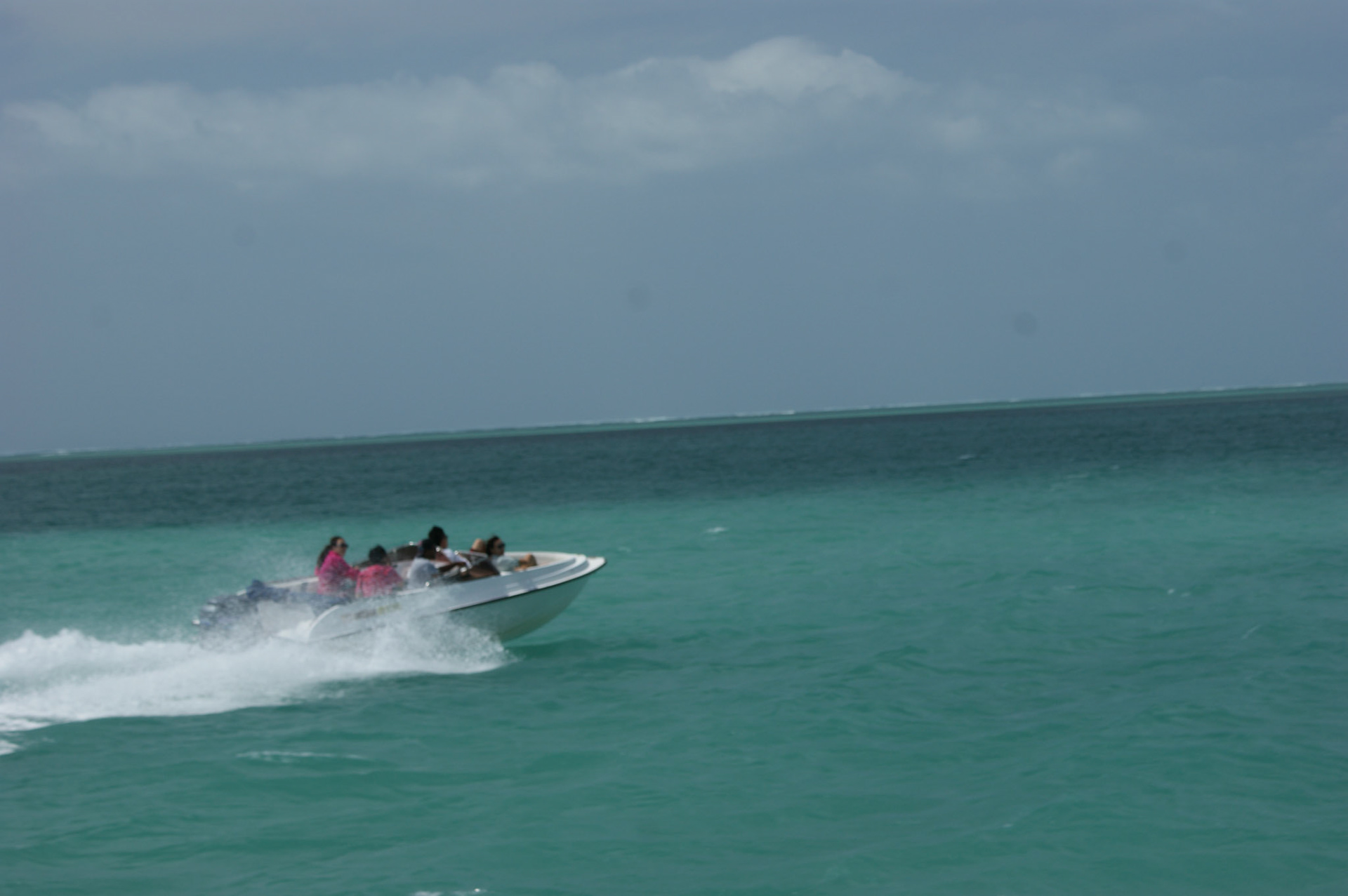 SONY DSC