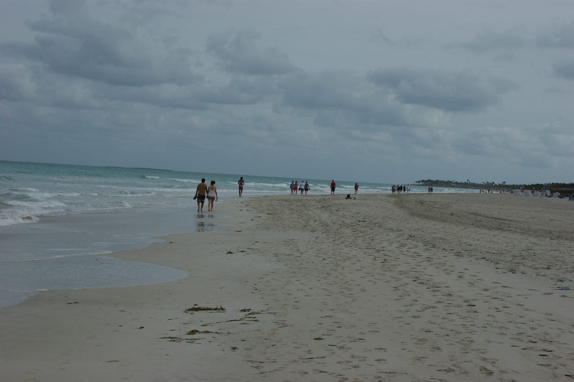 SONY DSC