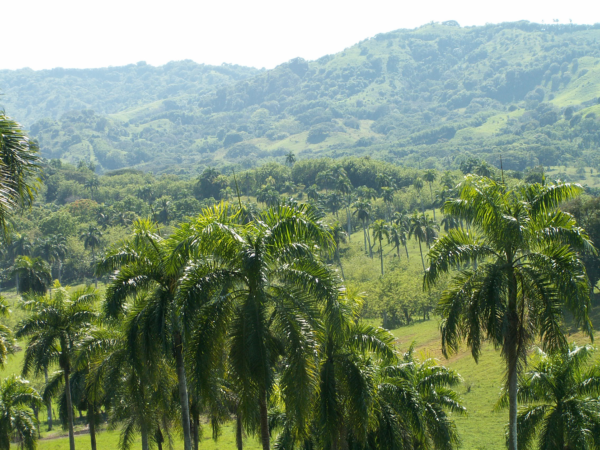 KONICA MINOLTA DIGITAL CAMERA