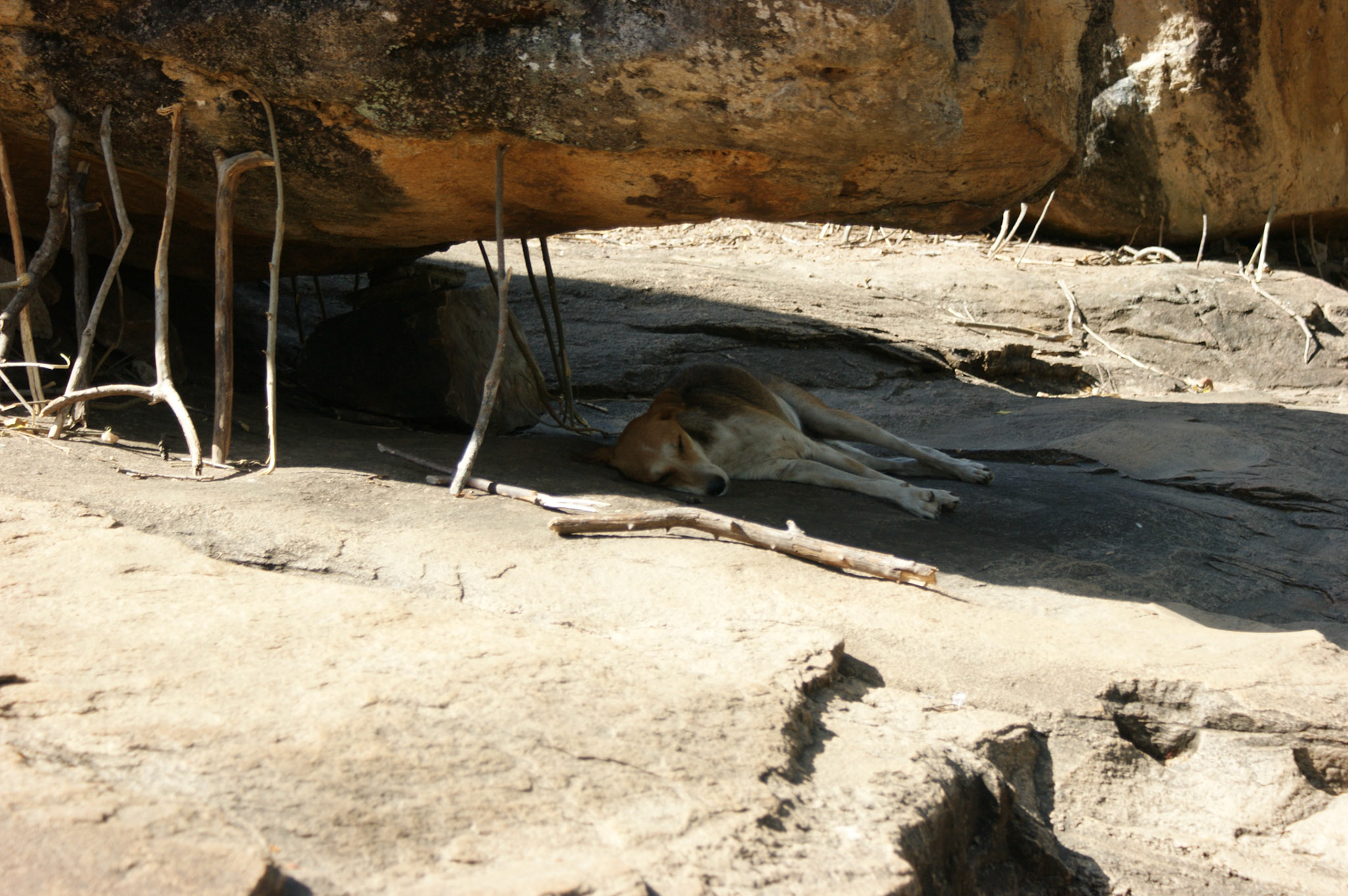 5.9.11 POLONARUVA - skupina královského paláce