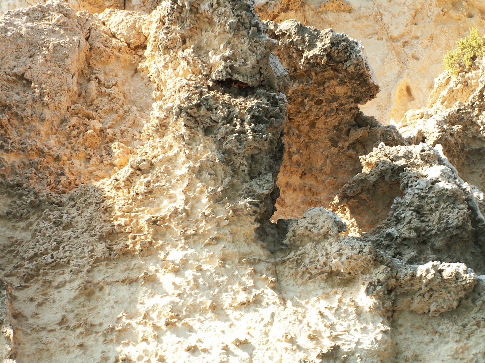 KONICA MINOLTA DIGITAL CAMERA