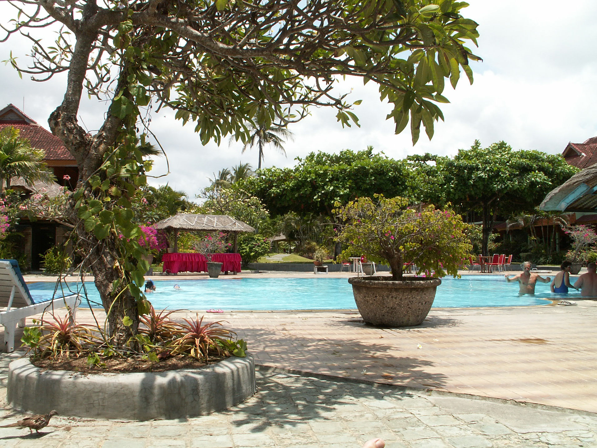 KONICA MINOLTA DIGITAL CAMERA