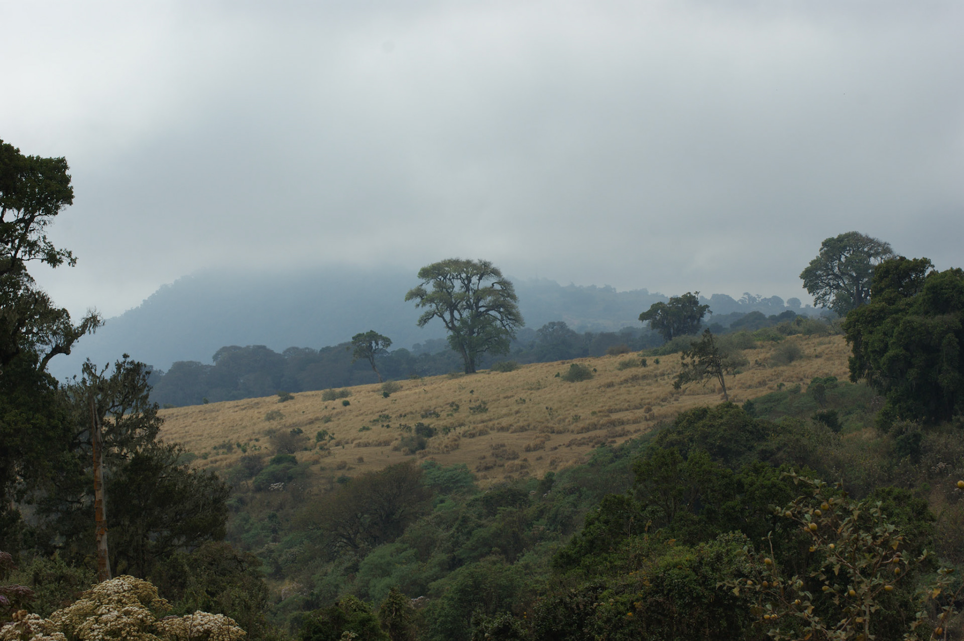 1.10.2009 TANZANIE - Ngorongoro - cesta do Serengeti