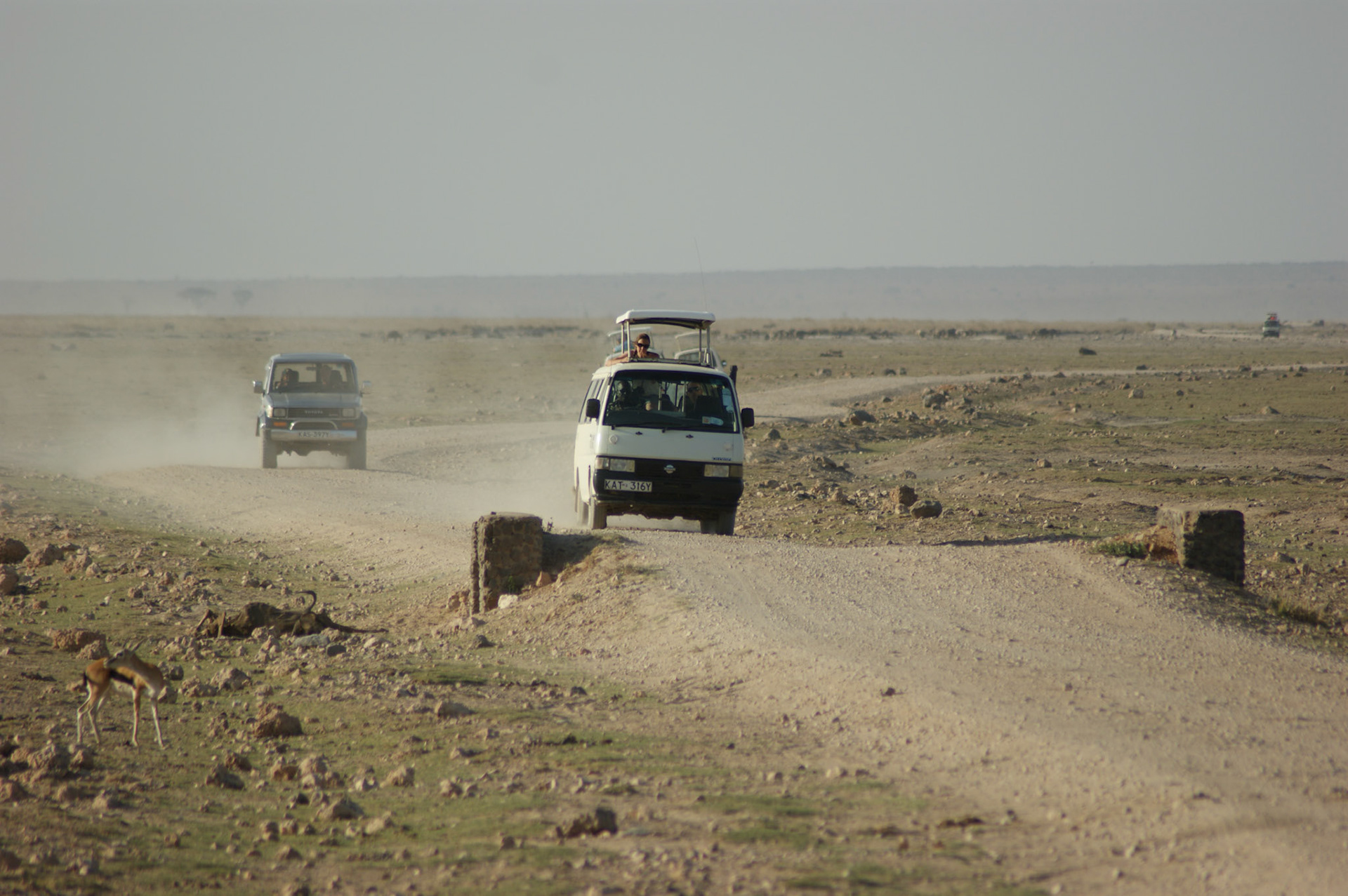 24.9.2009 KEŇA - NP Amboseli