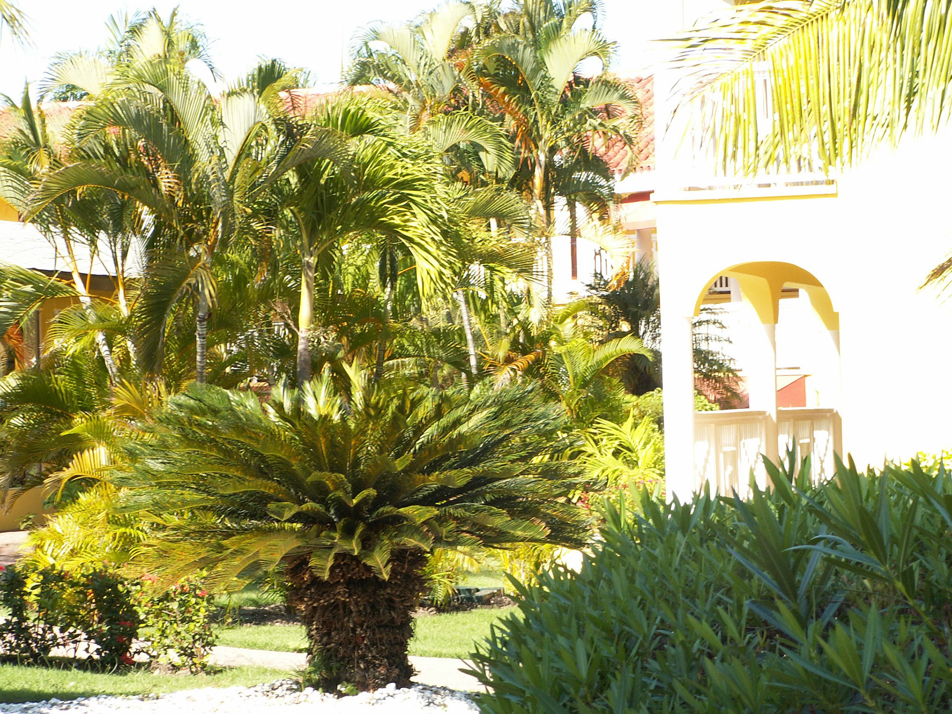 KONICA MINOLTA DIGITAL CAMERA