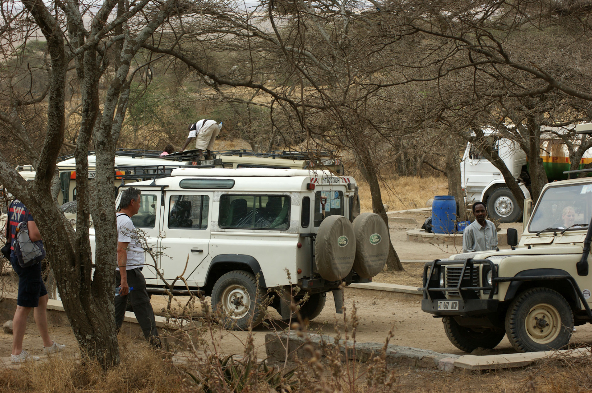 1.10.2009 TANZANIE - Serengeti
