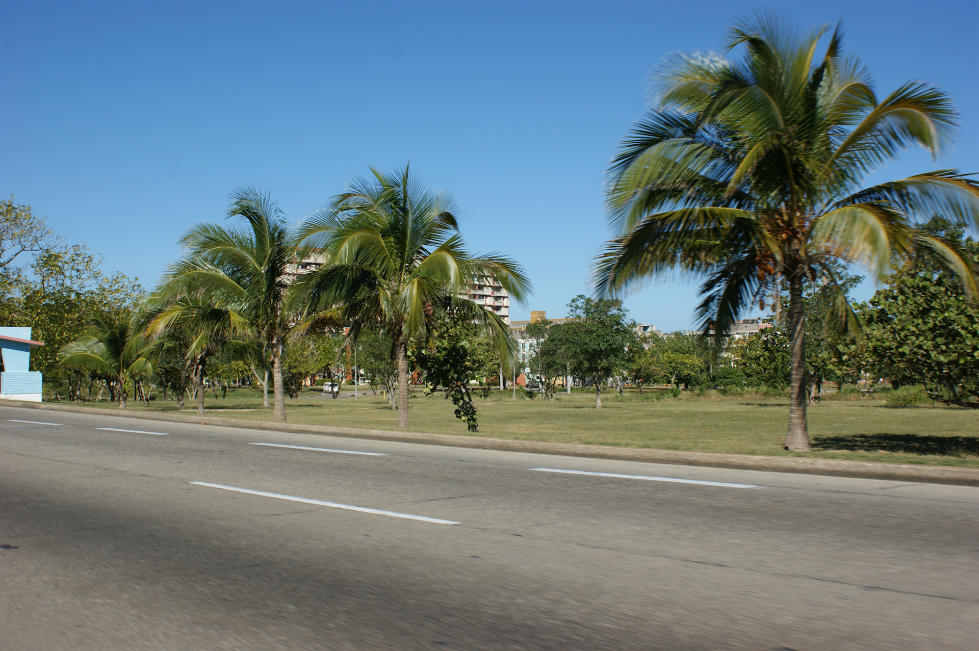 SONY DSC