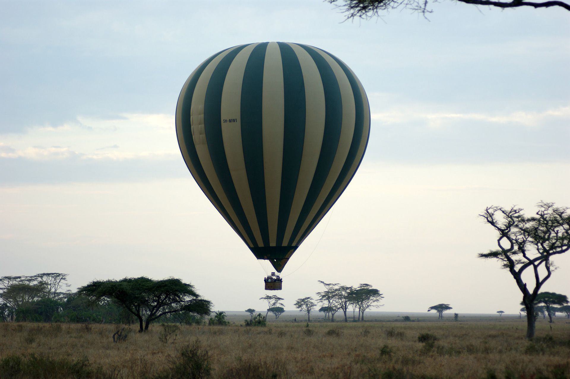 2.10.2009 TANZANIE - Serengeti