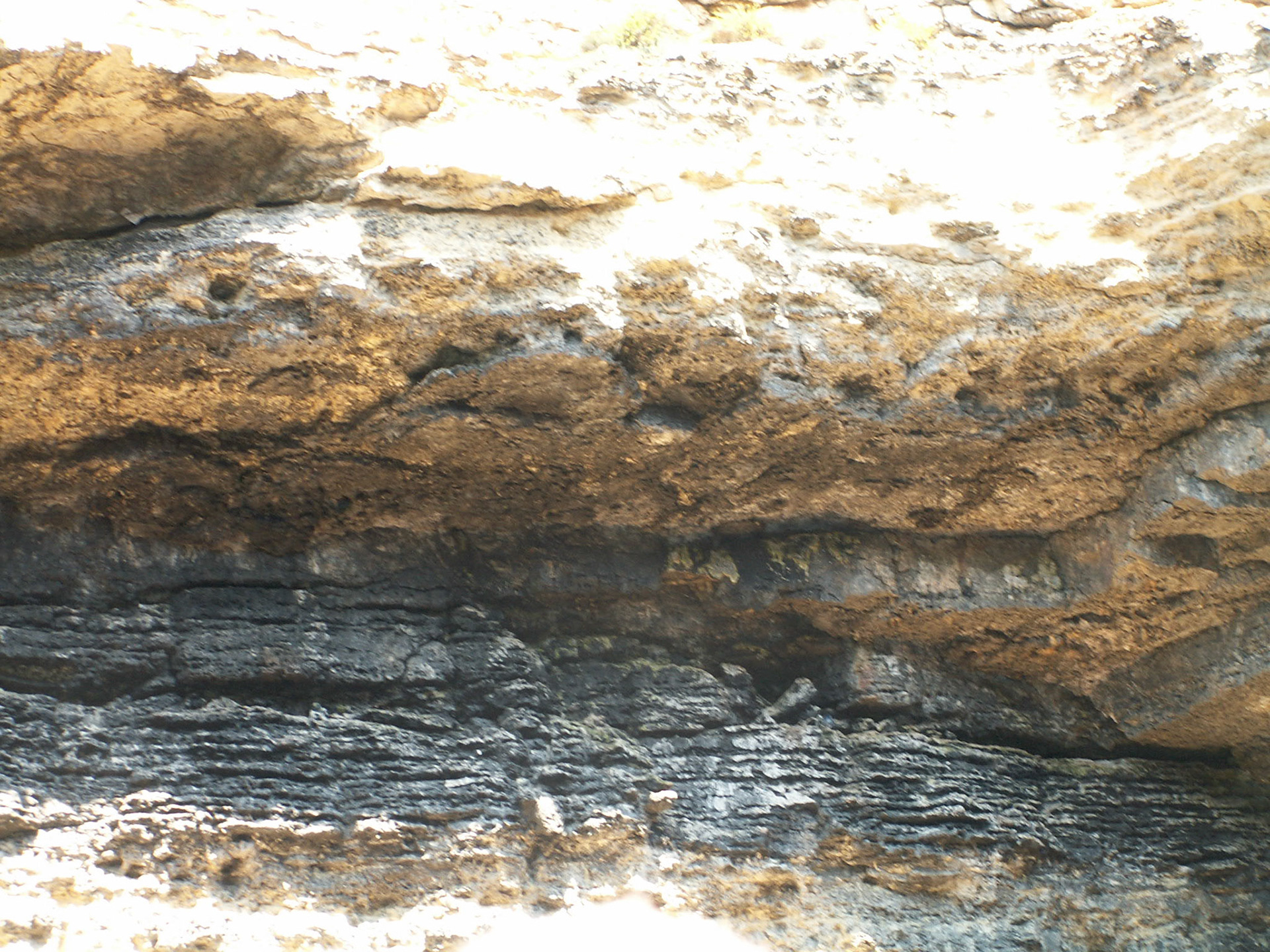 KONICA MINOLTA DIGITAL CAMERA