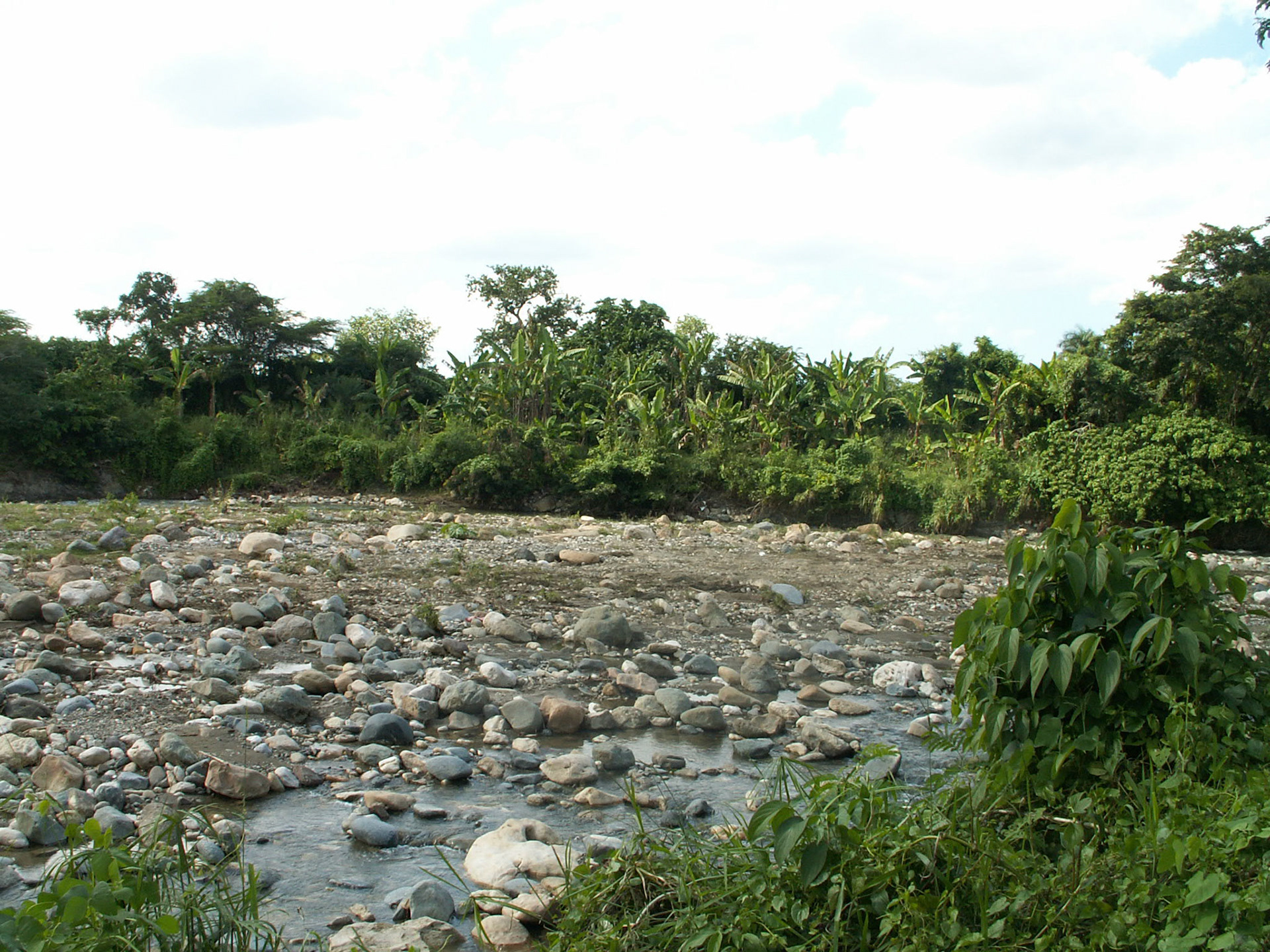 KONICA MINOLTA DIGITAL CAMERA