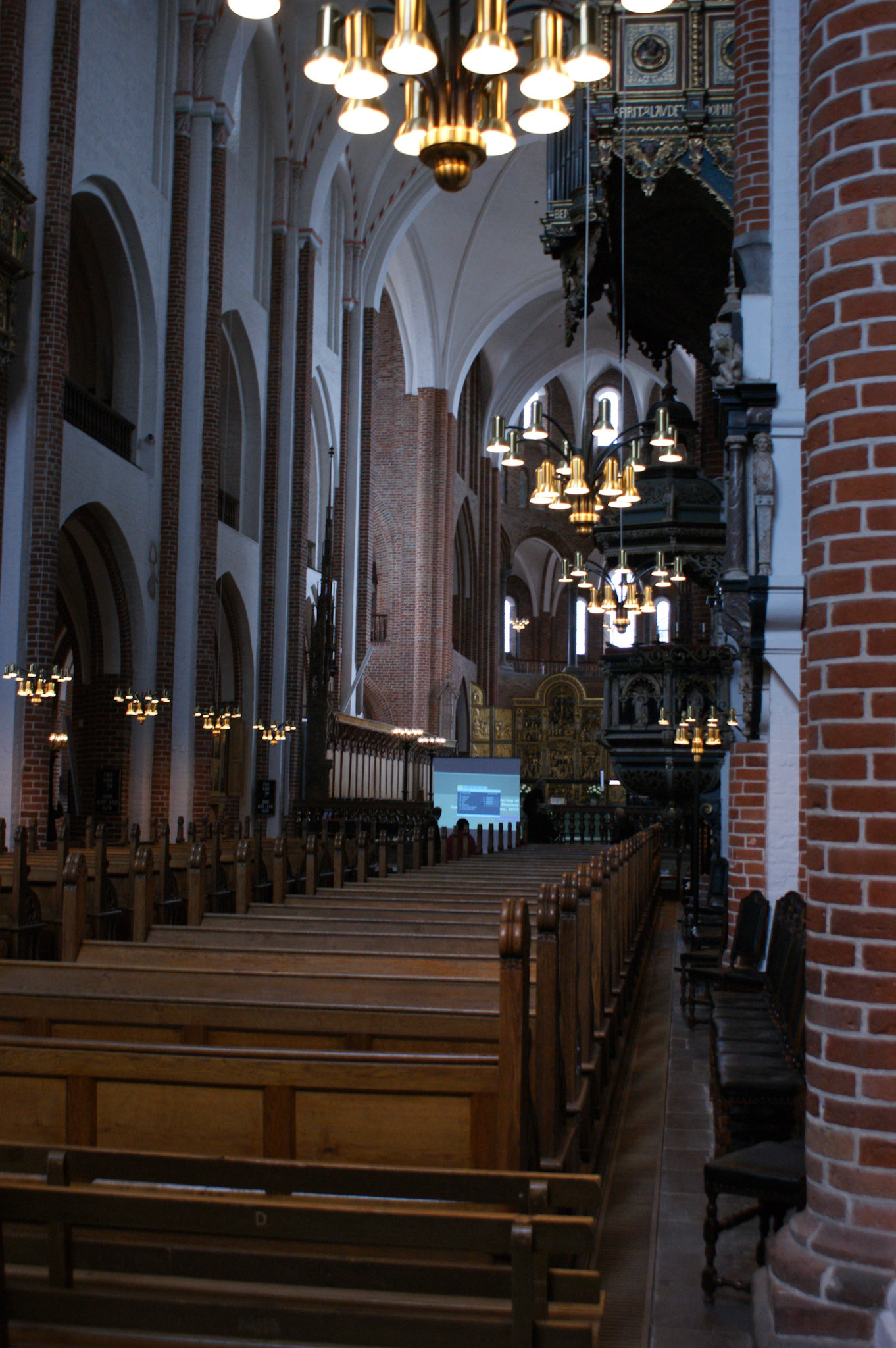 SONY DSC