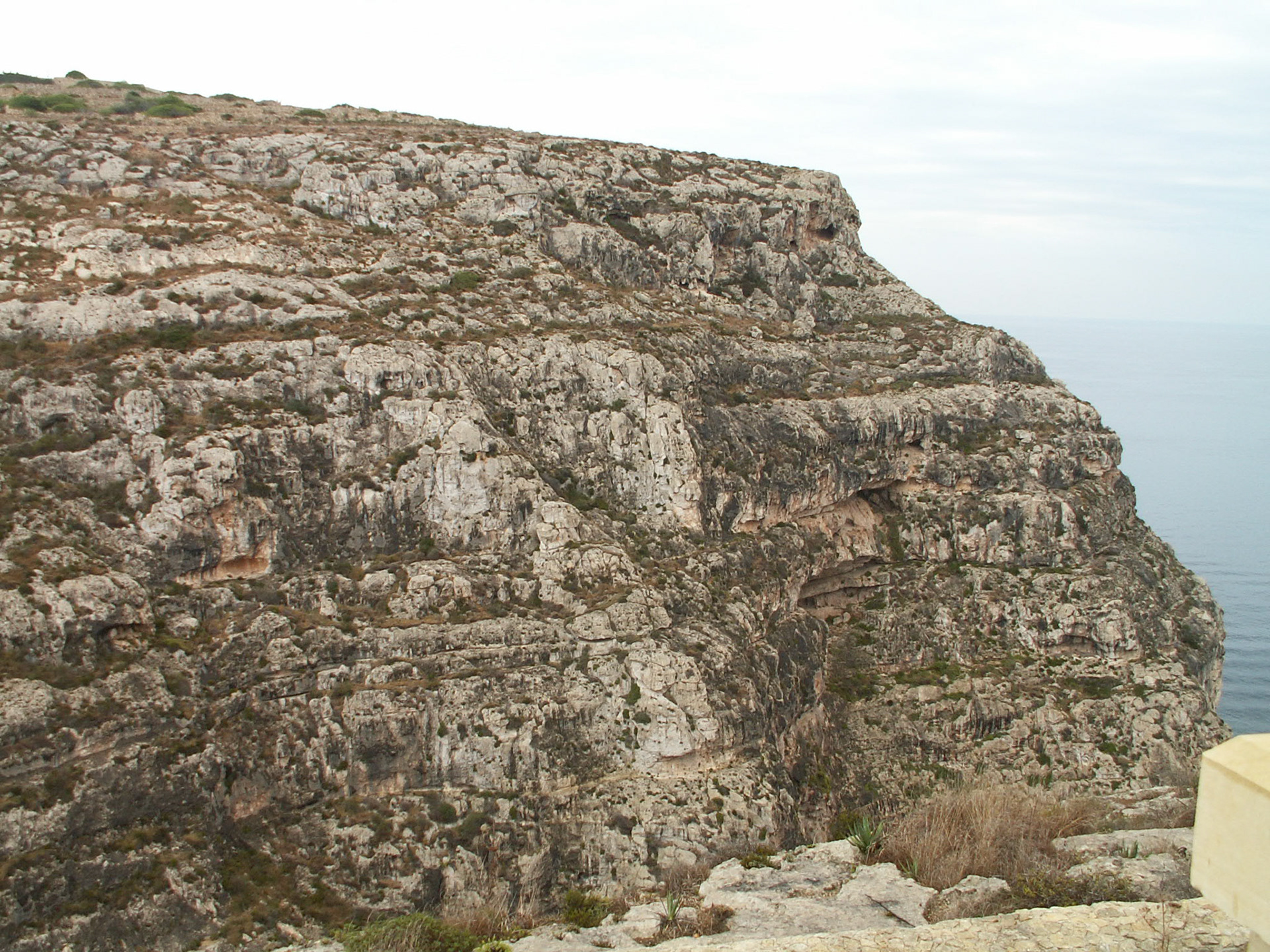 KONICA MINOLTA DIGITAL CAMERA