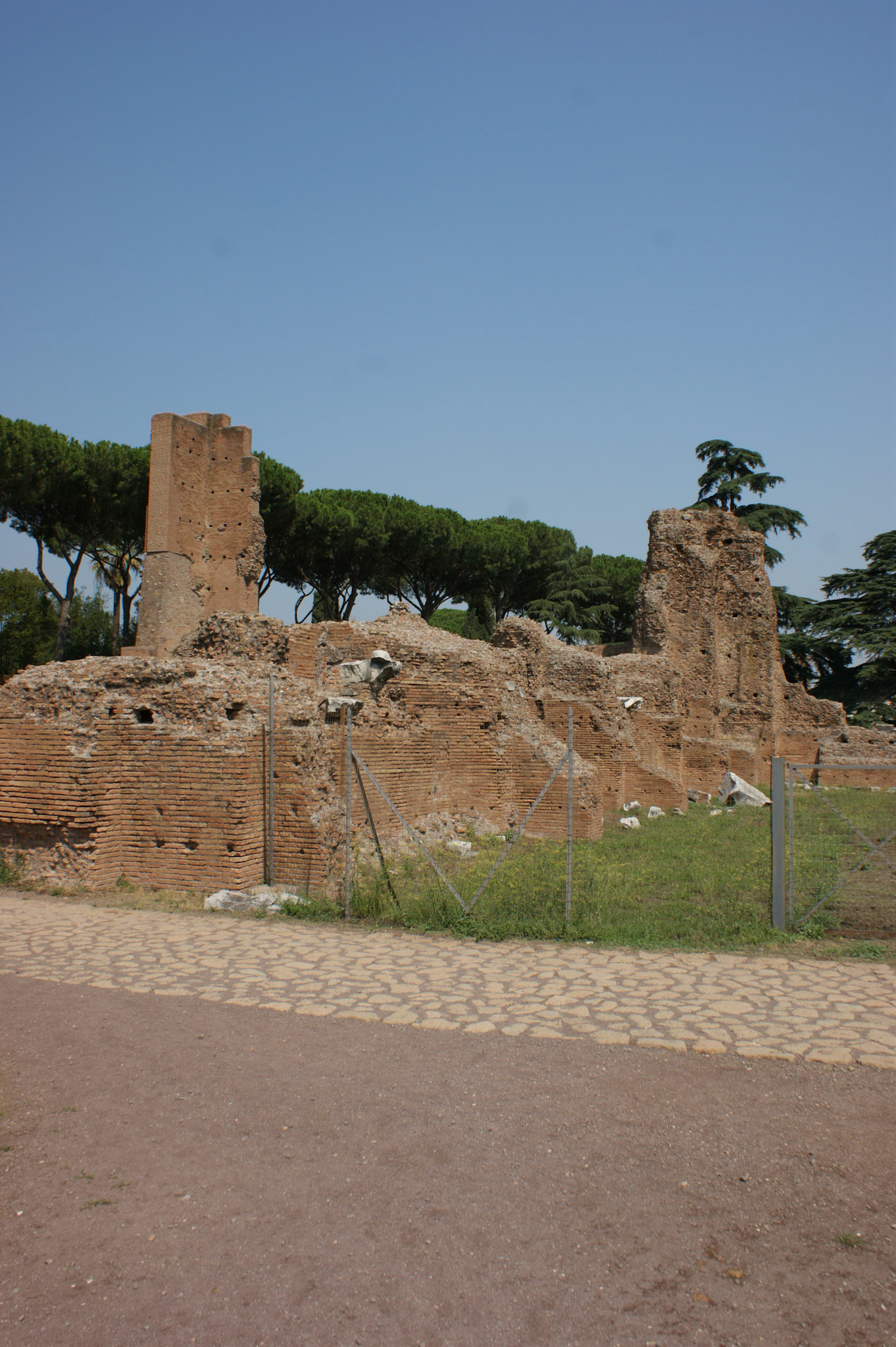 SONY DSC