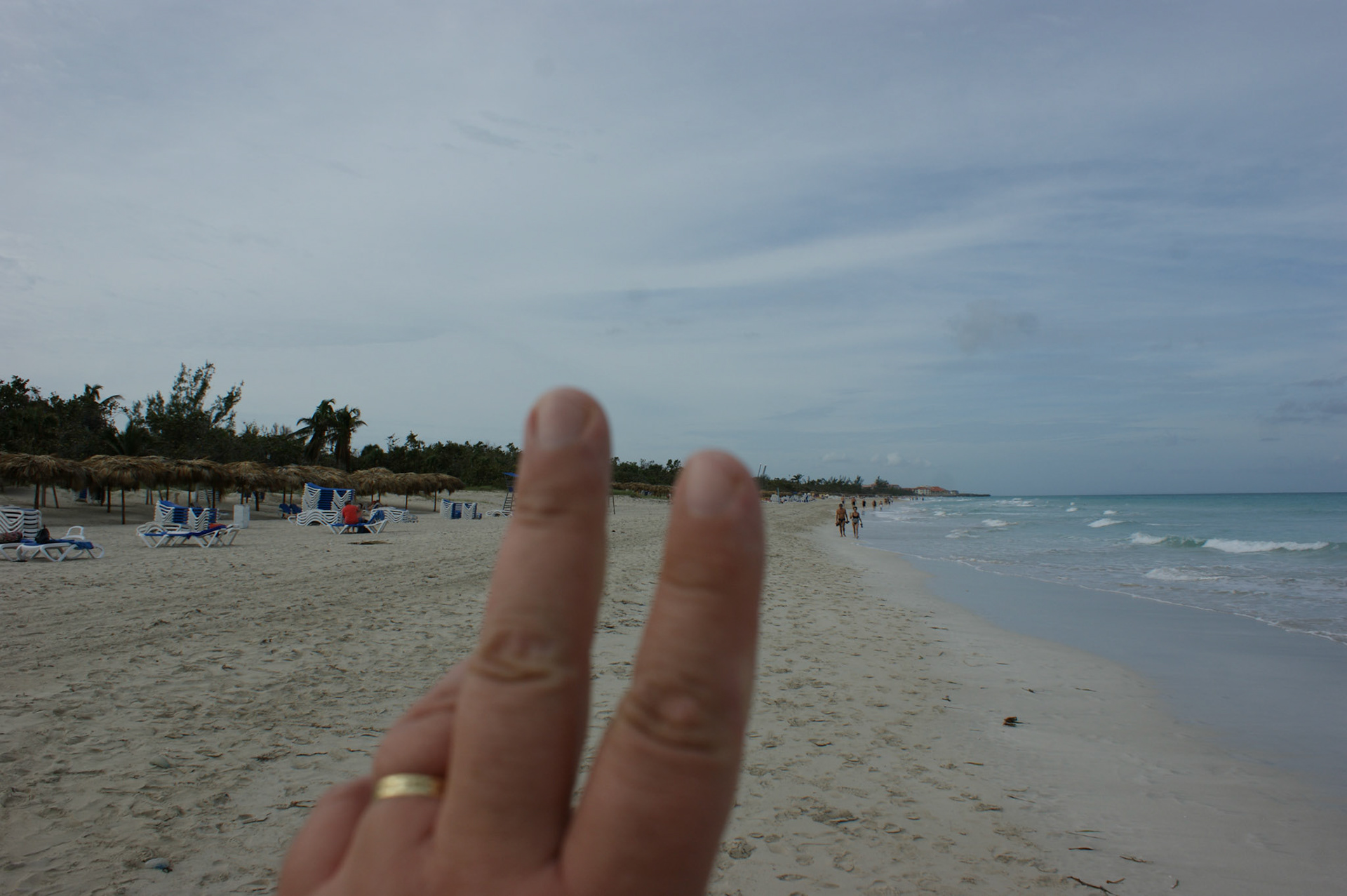 SONY DSC