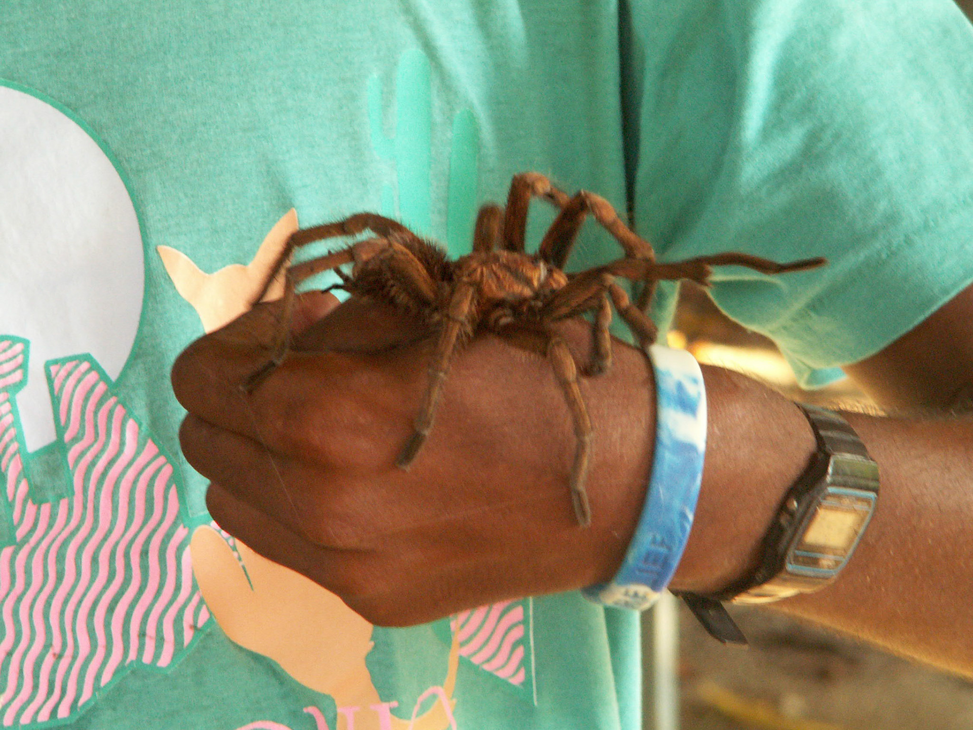 KONICA MINOLTA DIGITAL CAMERA