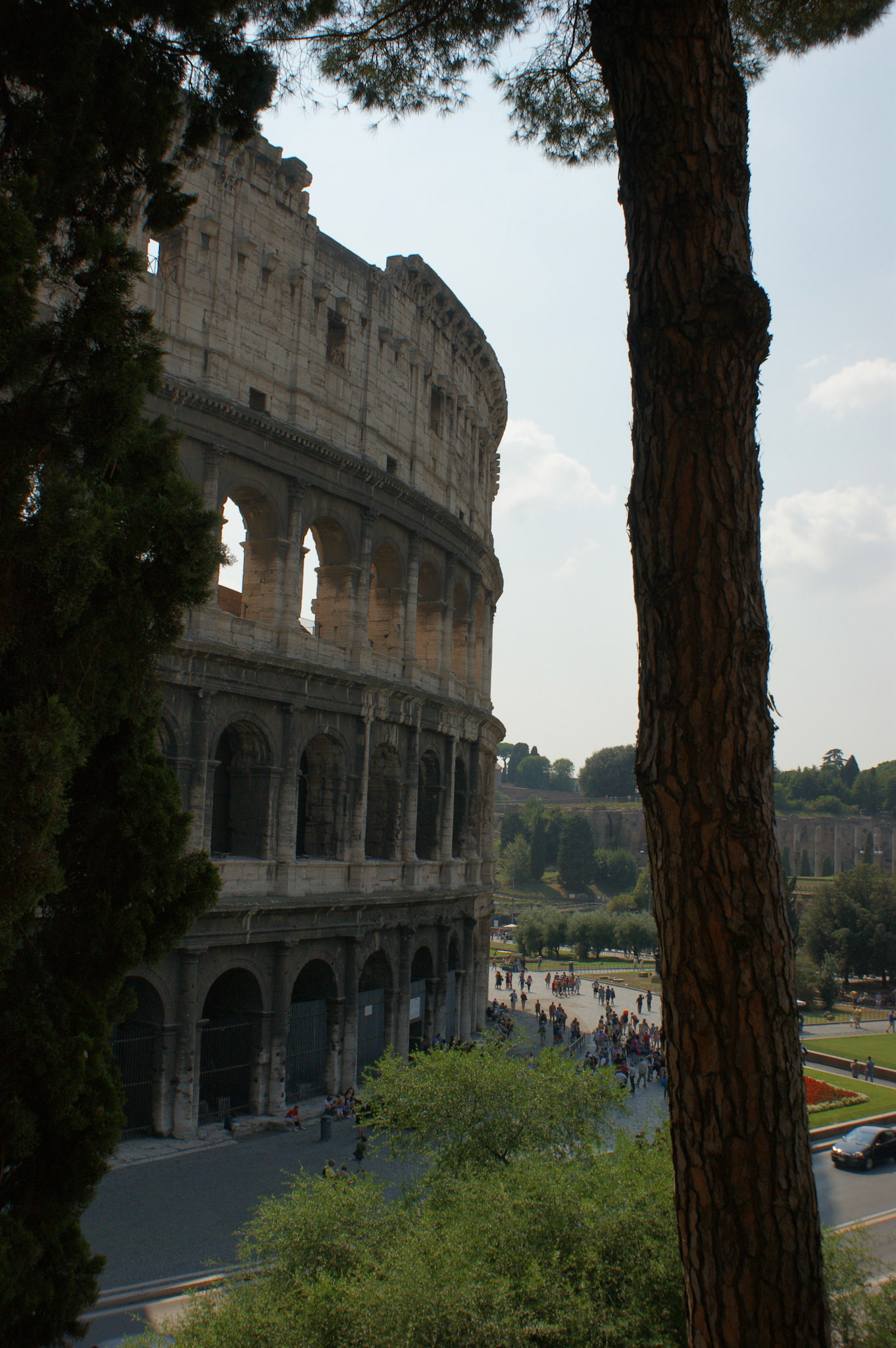 SONY DSC