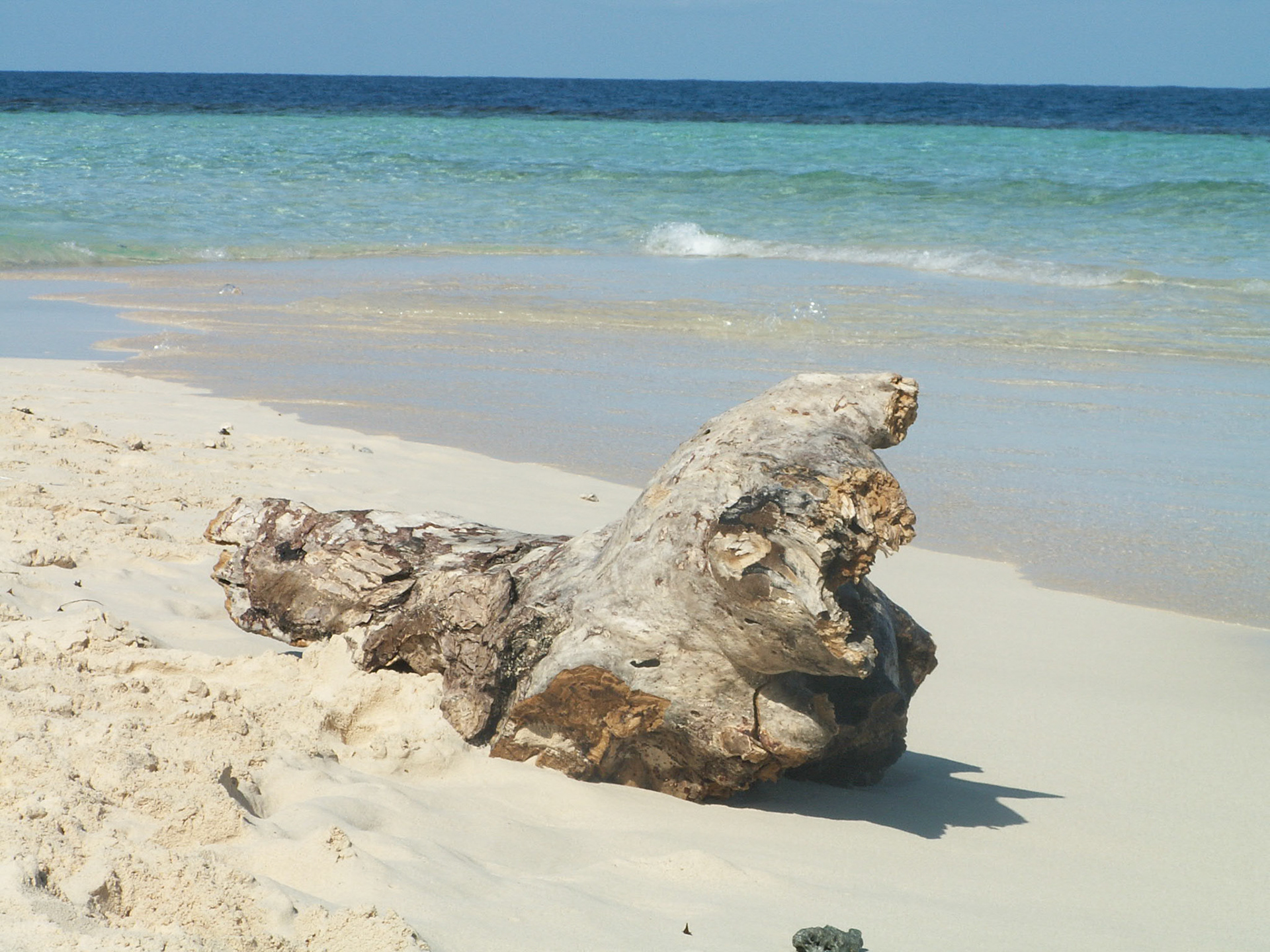 KONICA MINOLTA DIGITAL CAMERA