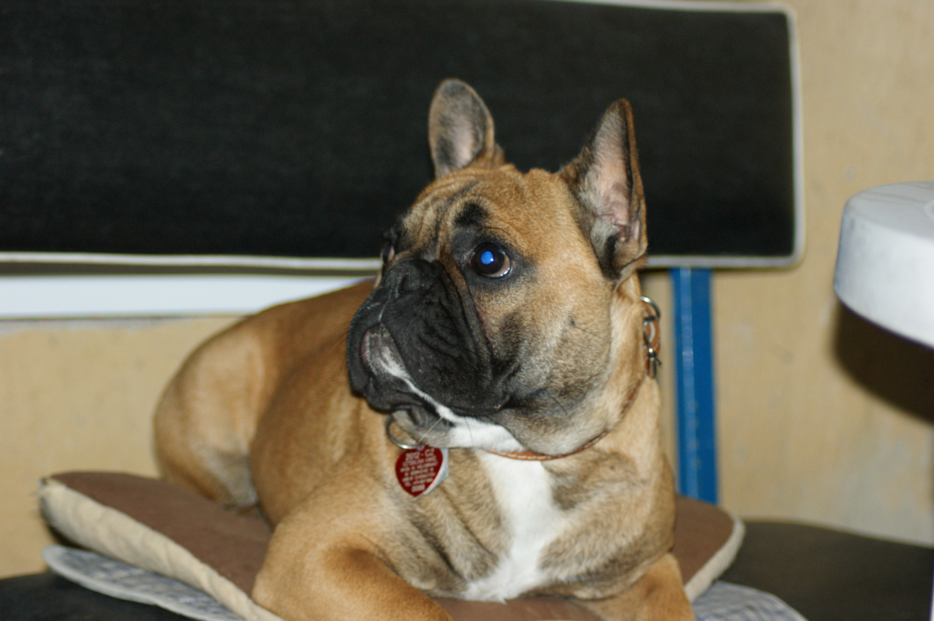 SONY DSC