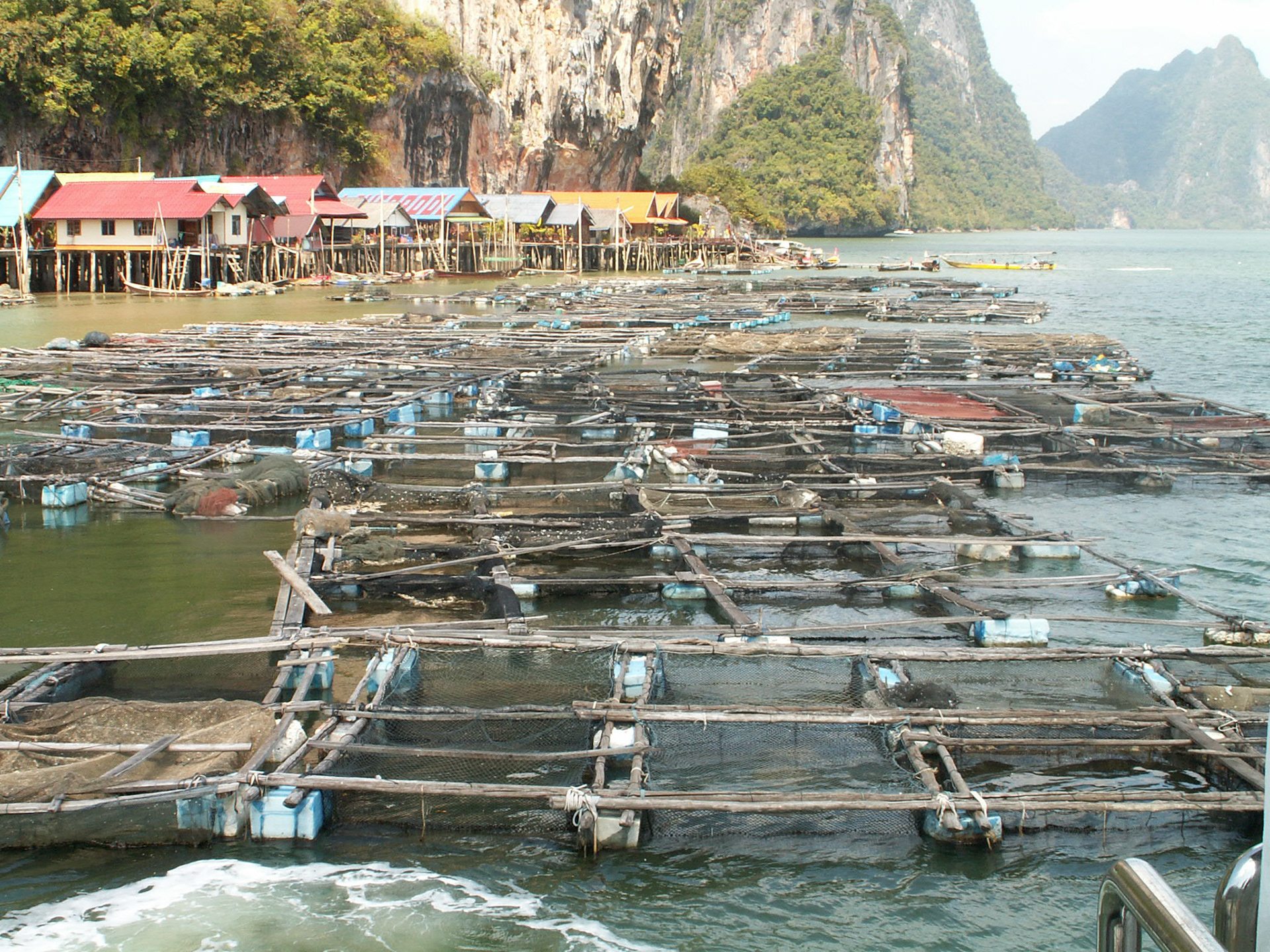 KONICA MINOLTA DIGITAL CAMERA