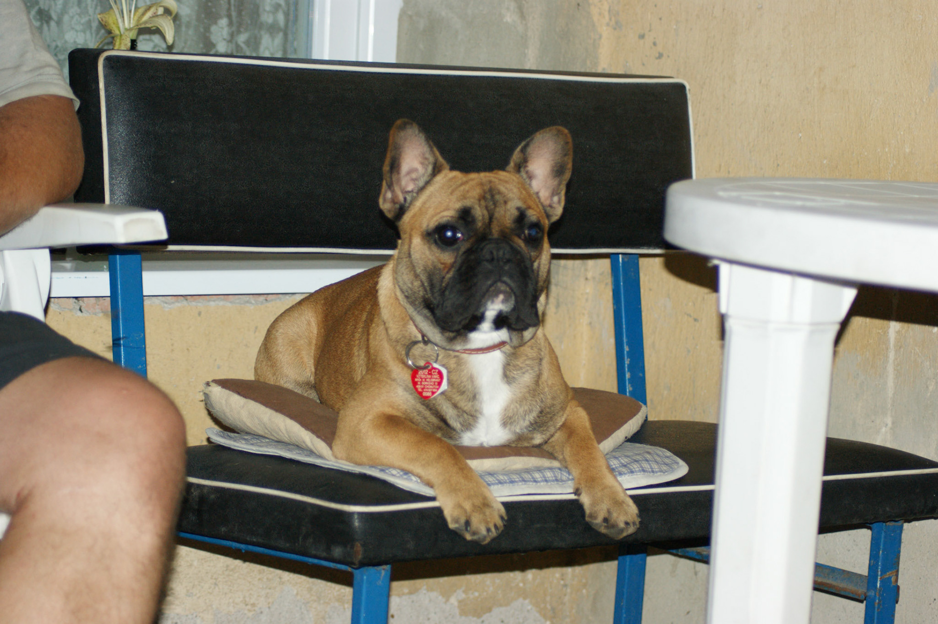 SONY DSC