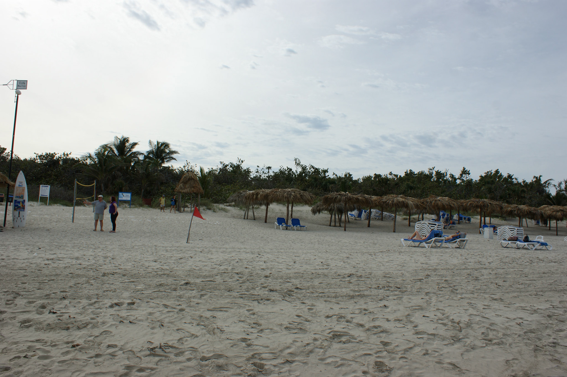 SONY DSC