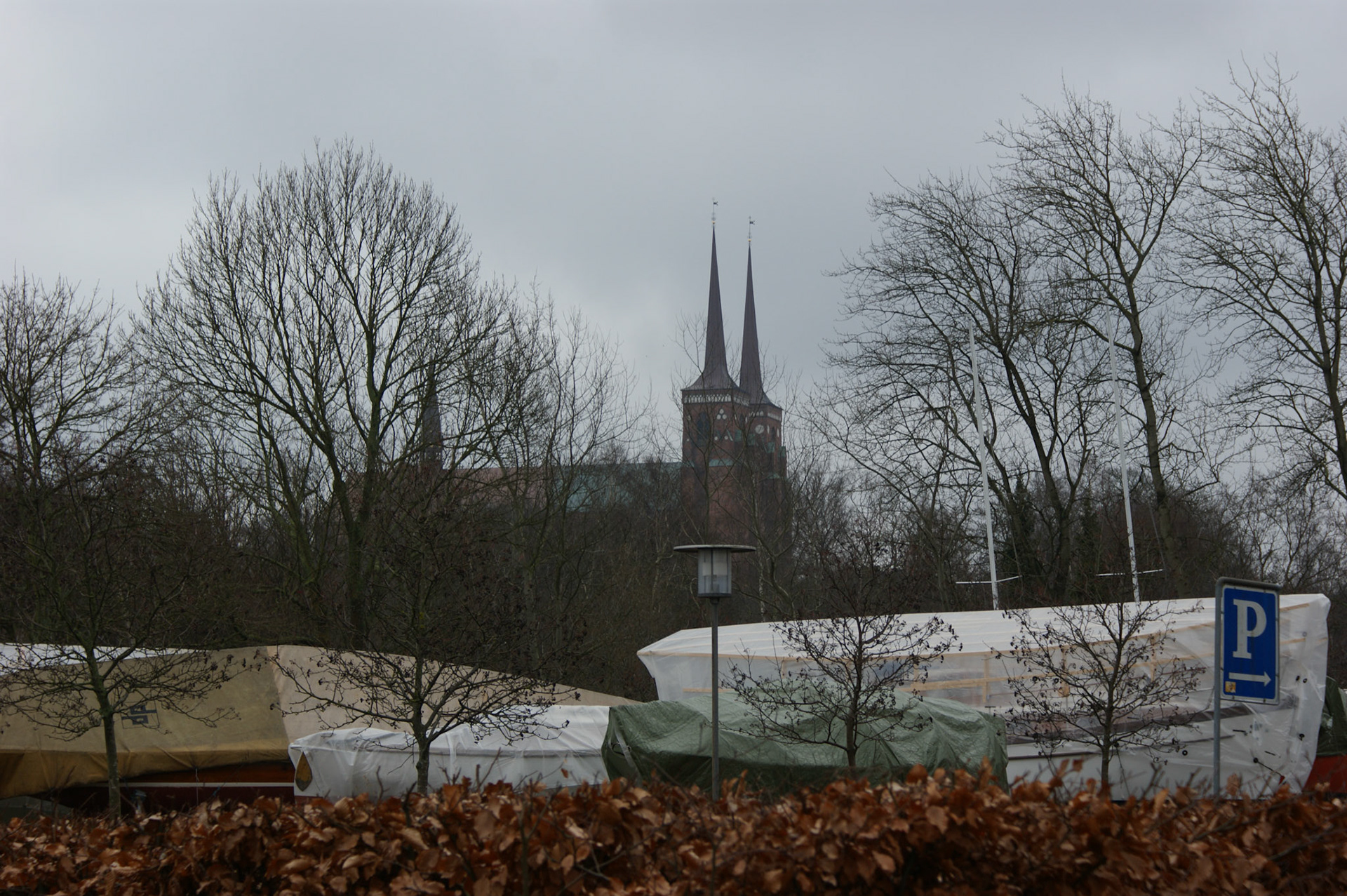 SONY DSC