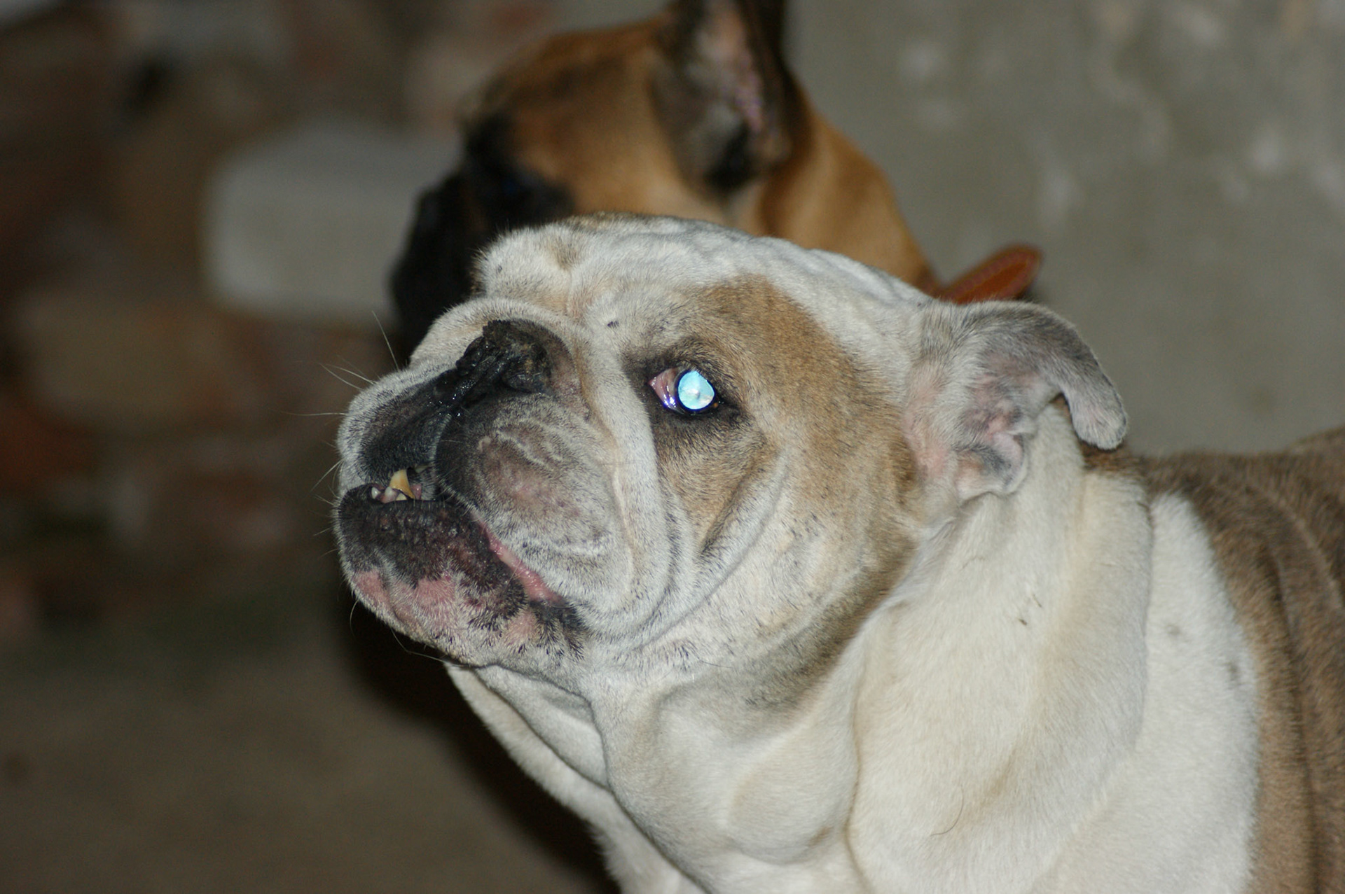 SONY DSC