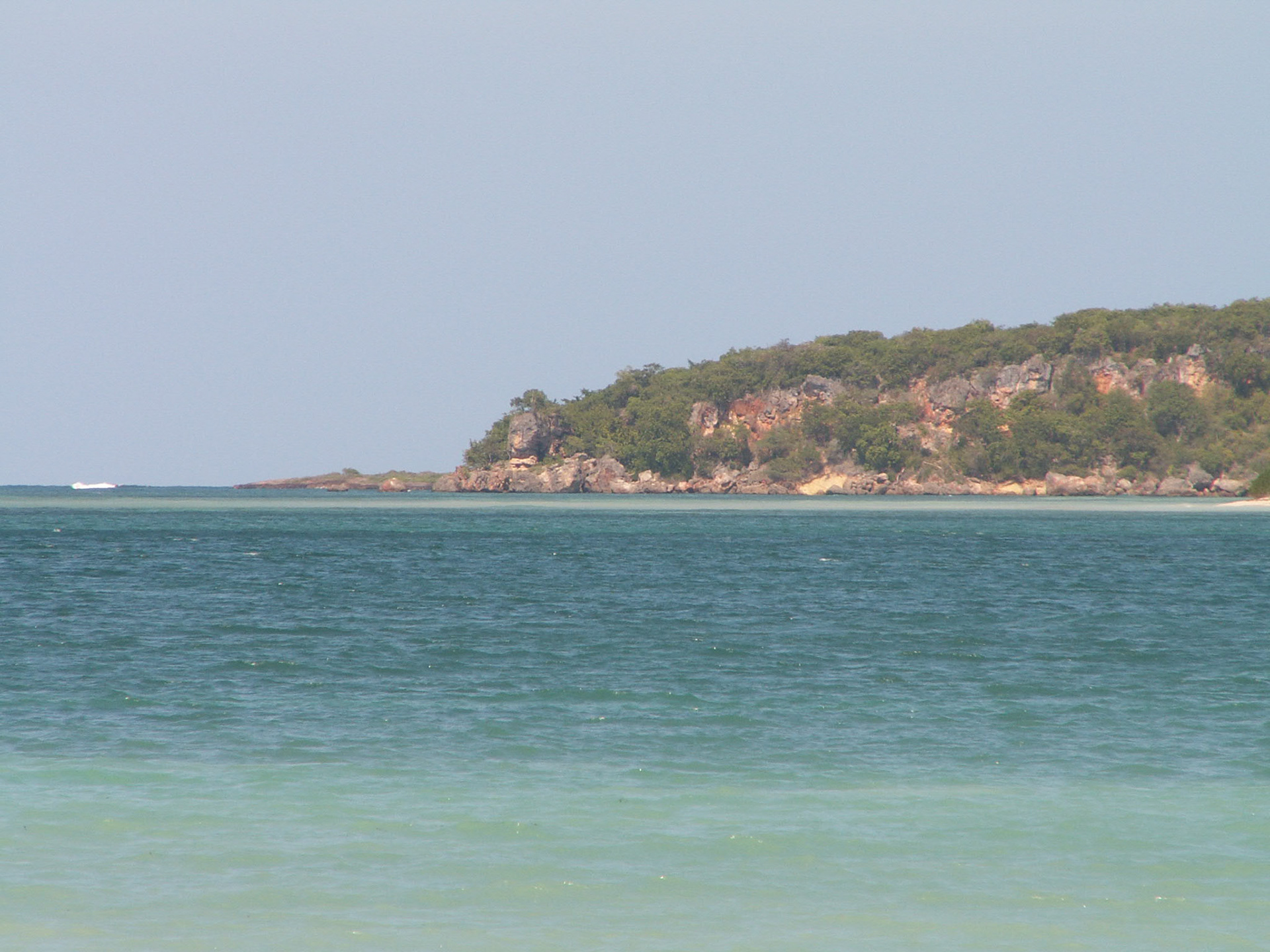 KONICA MINOLTA DIGITAL CAMERA