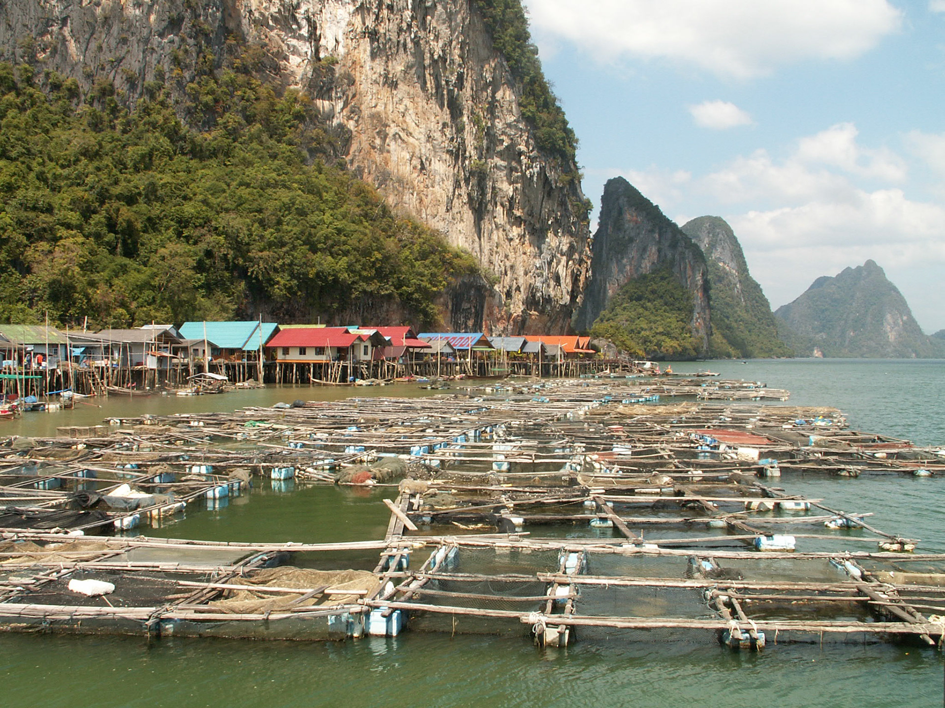 KONICA MINOLTA DIGITAL CAMERA