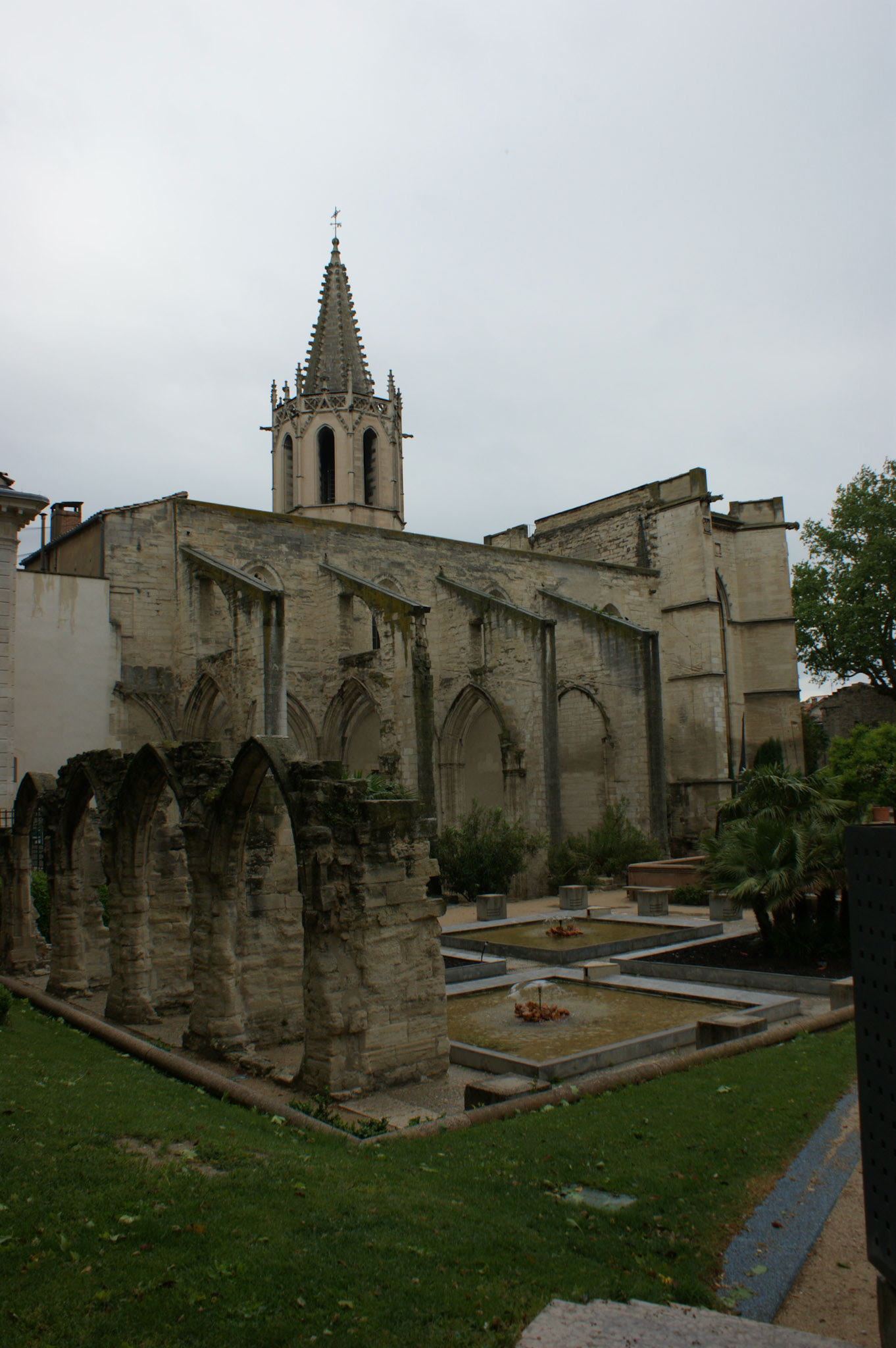 SONY DSC