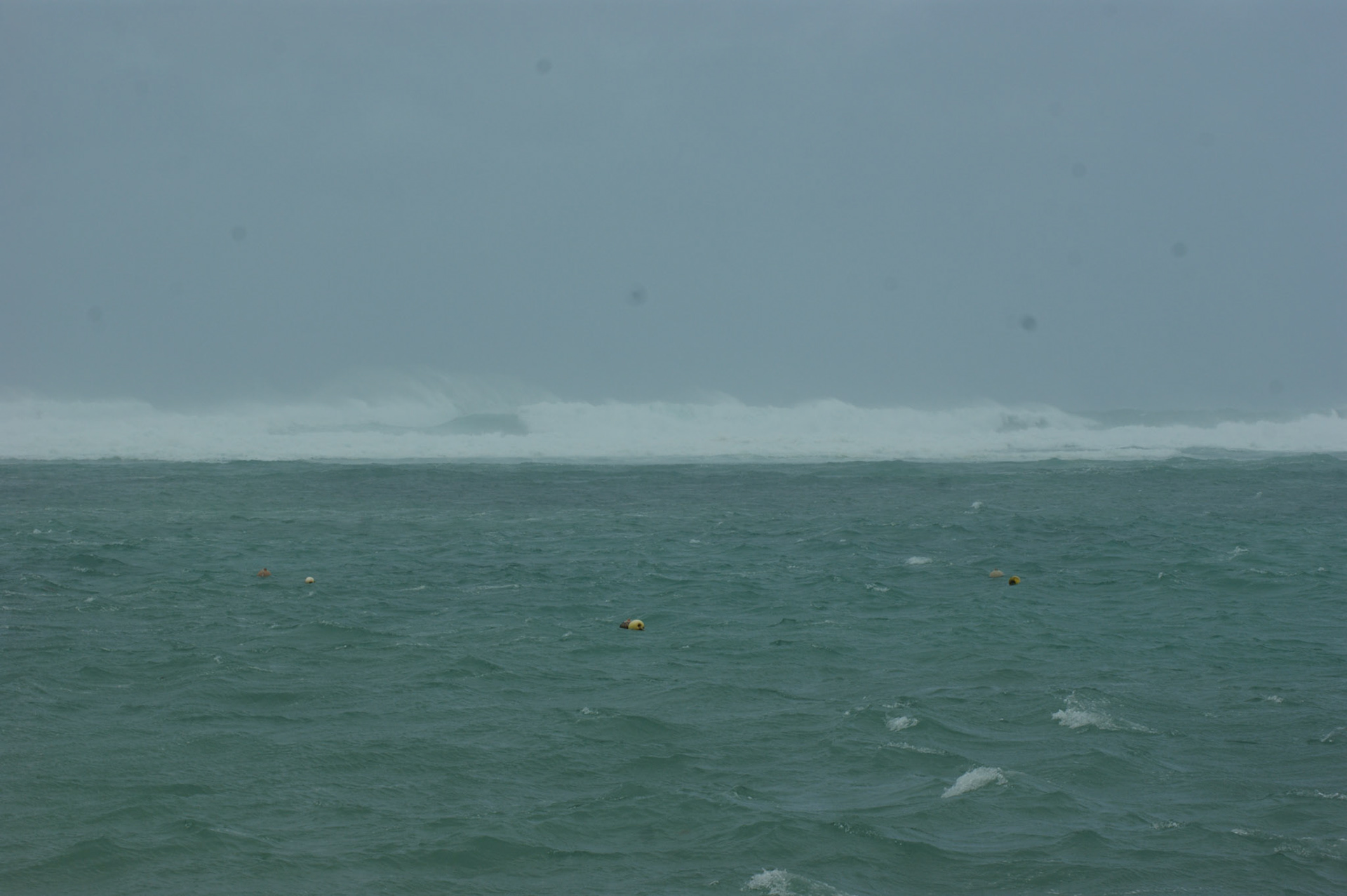 SONY DSC