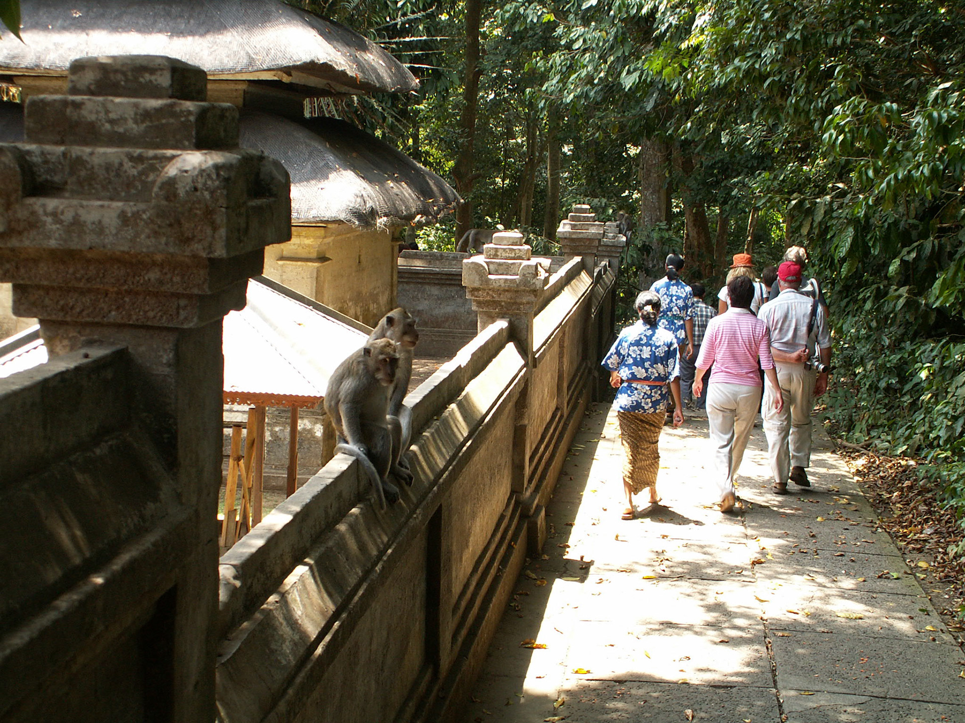 KONICA MINOLTA DIGITAL CAMERA