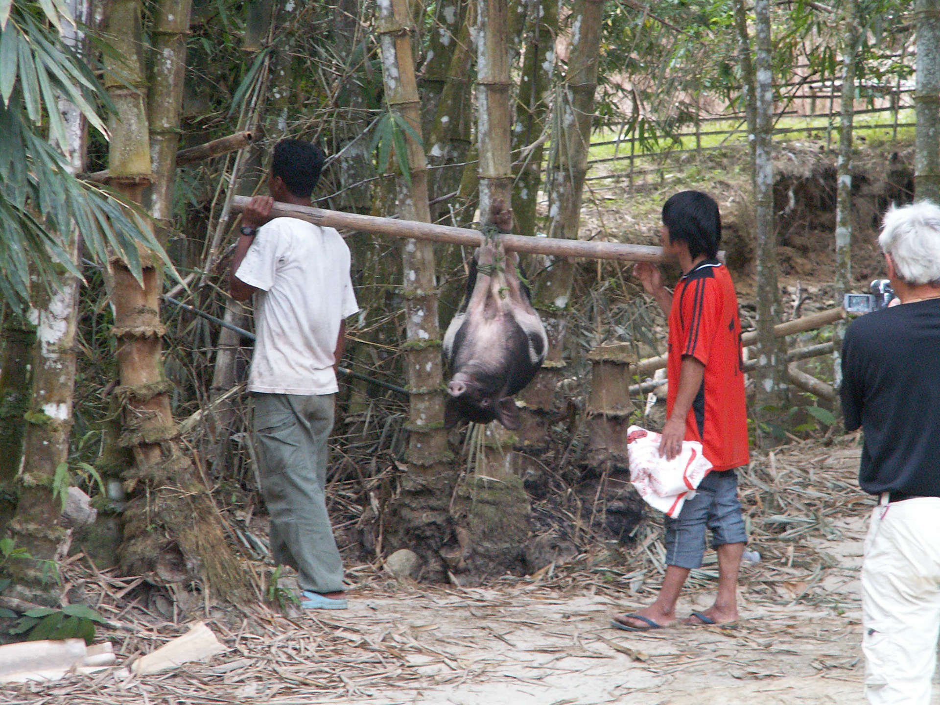 KONICA MINOLTA DIGITAL CAMERA