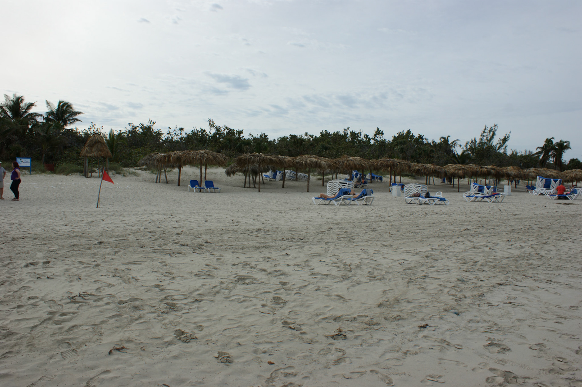 SONY DSC