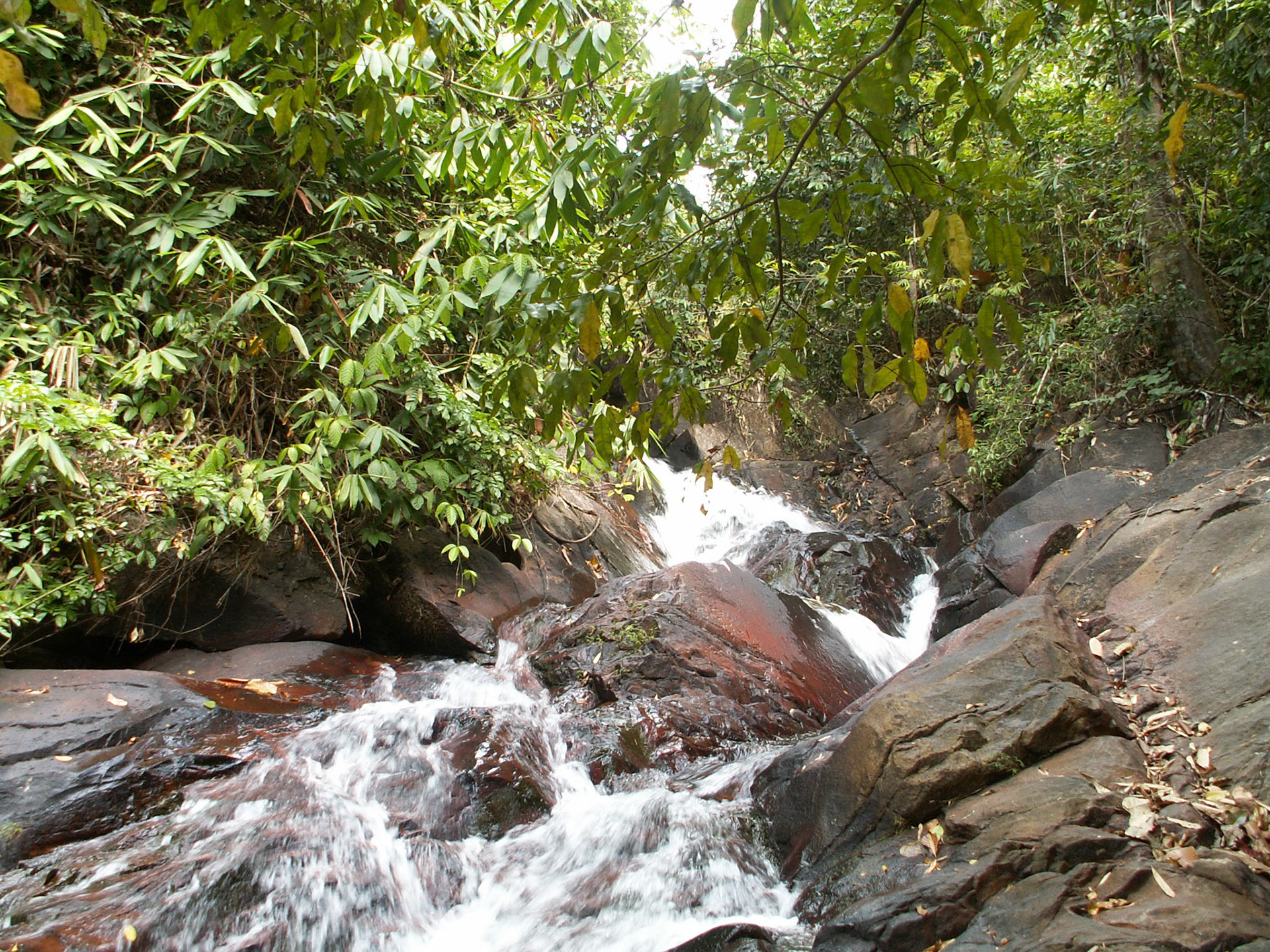 KONICA MINOLTA DIGITAL CAMERA